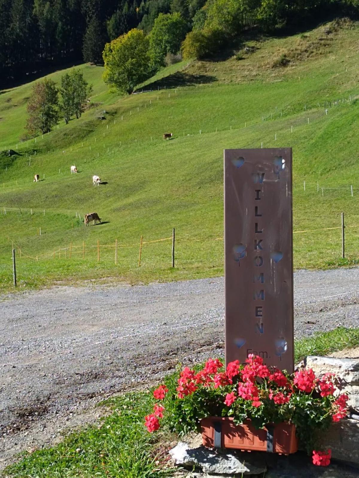 Mooslechnerhof