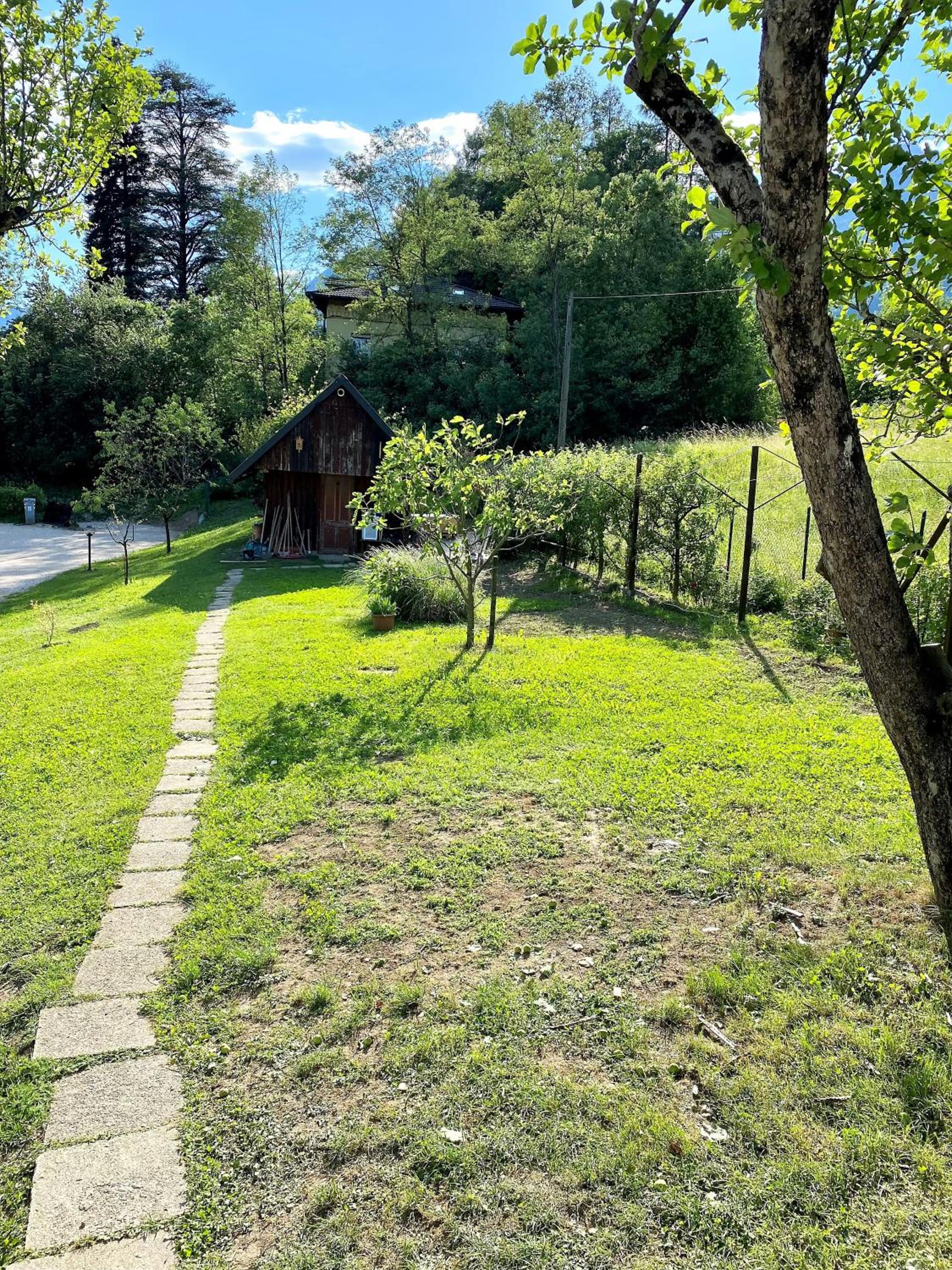 Photo 31