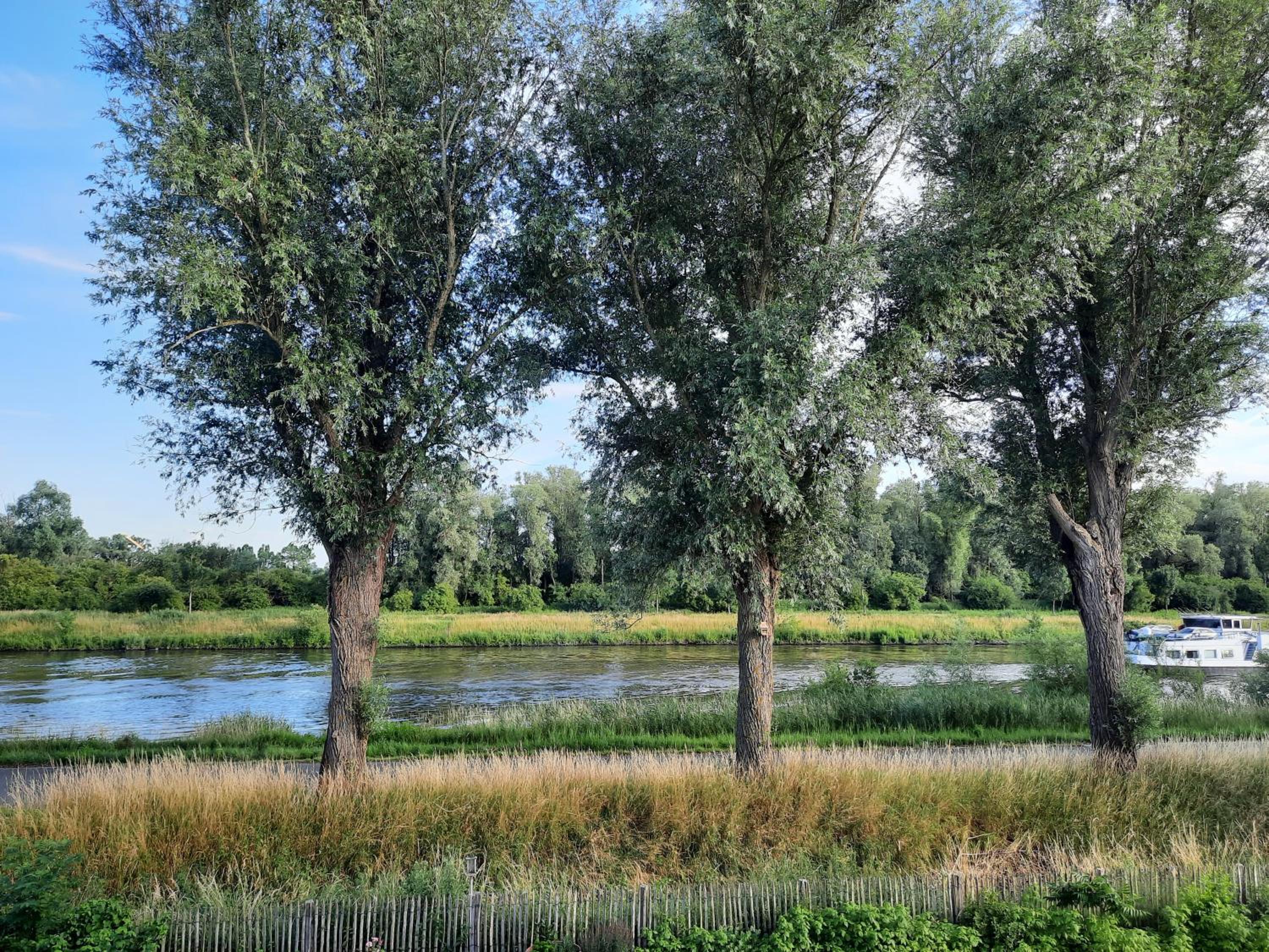B&B Scheldekant