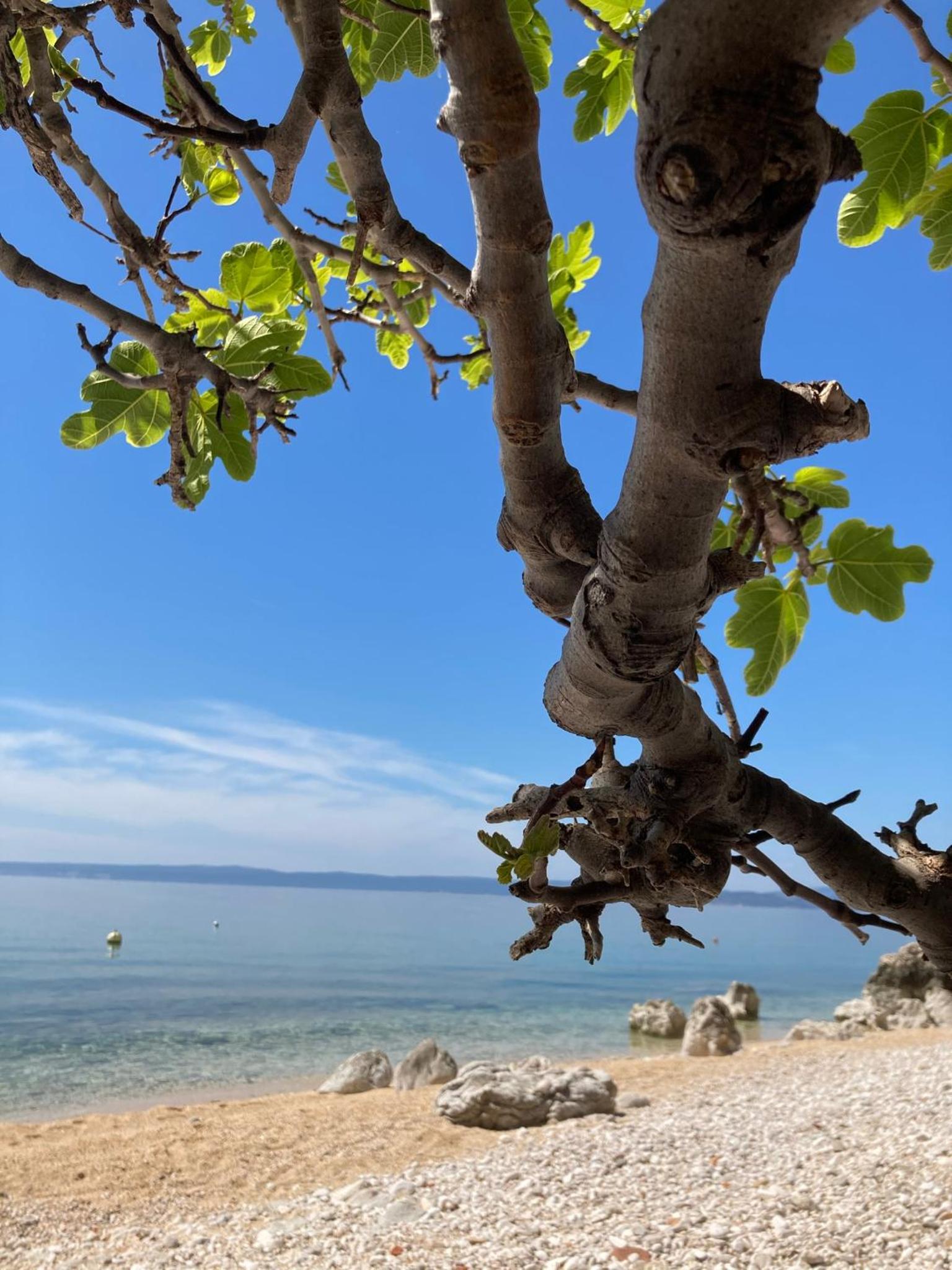 Kuća za odmor Baya view 4