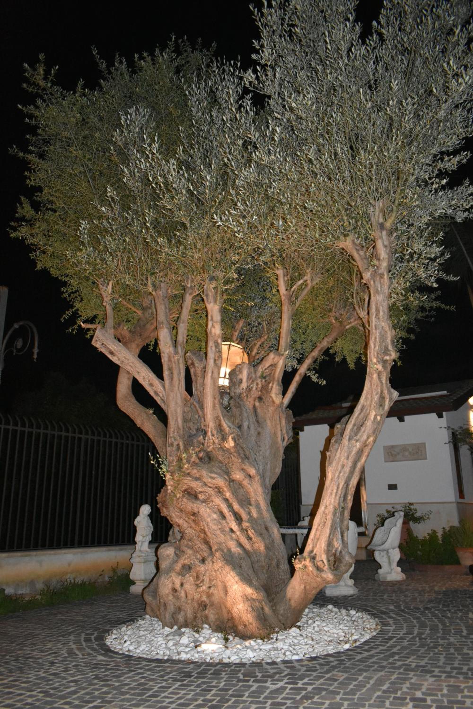 Villa Caterina