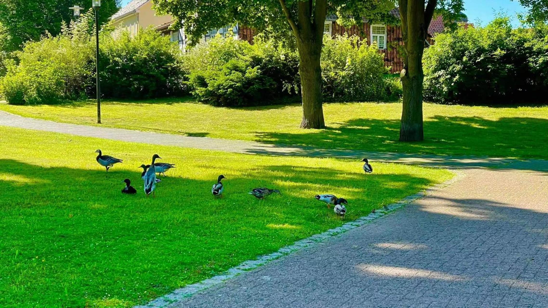 Gästehaus Ambiente am Kurpark