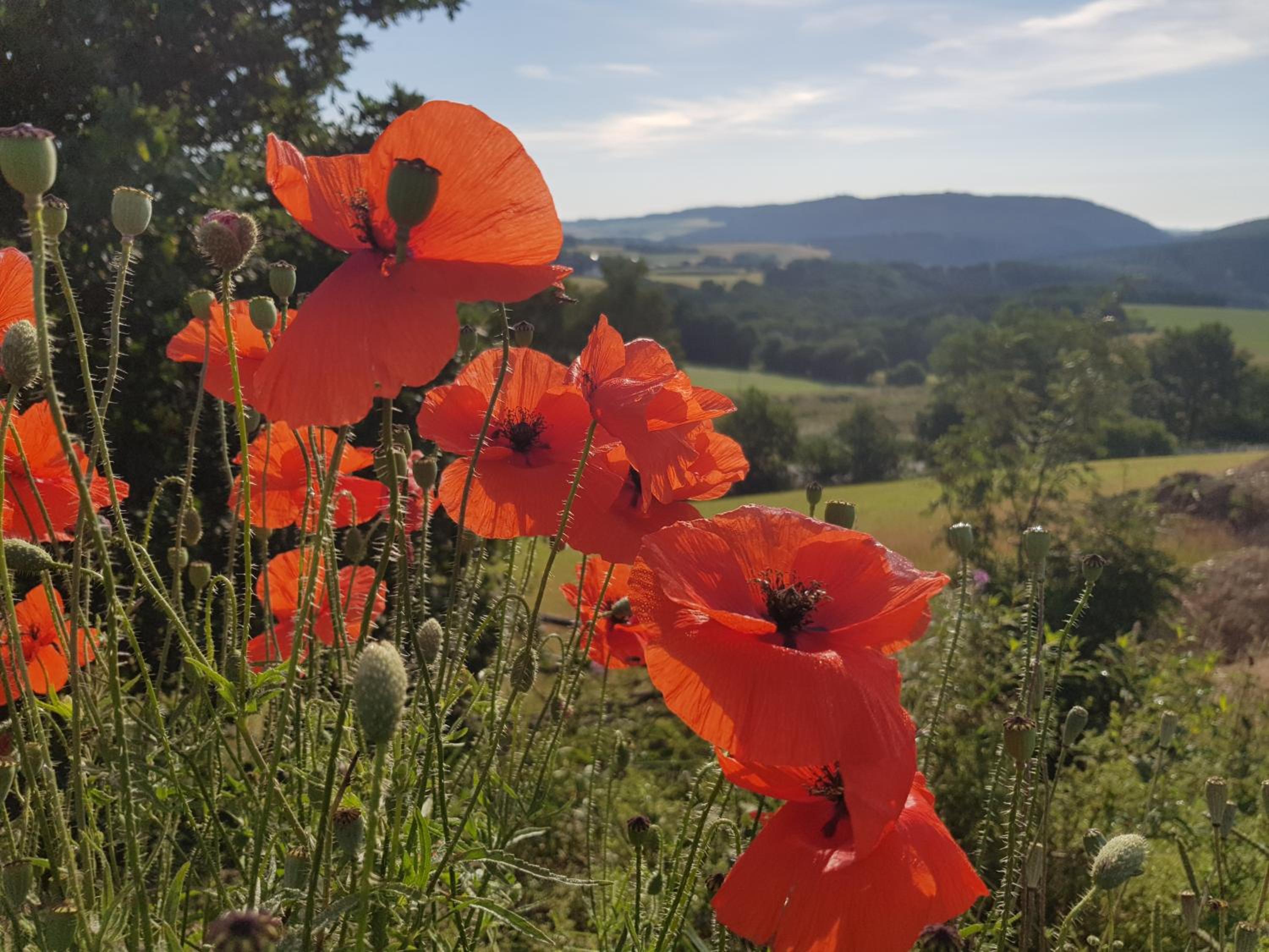 Vakantieappartement Achat Duitsland