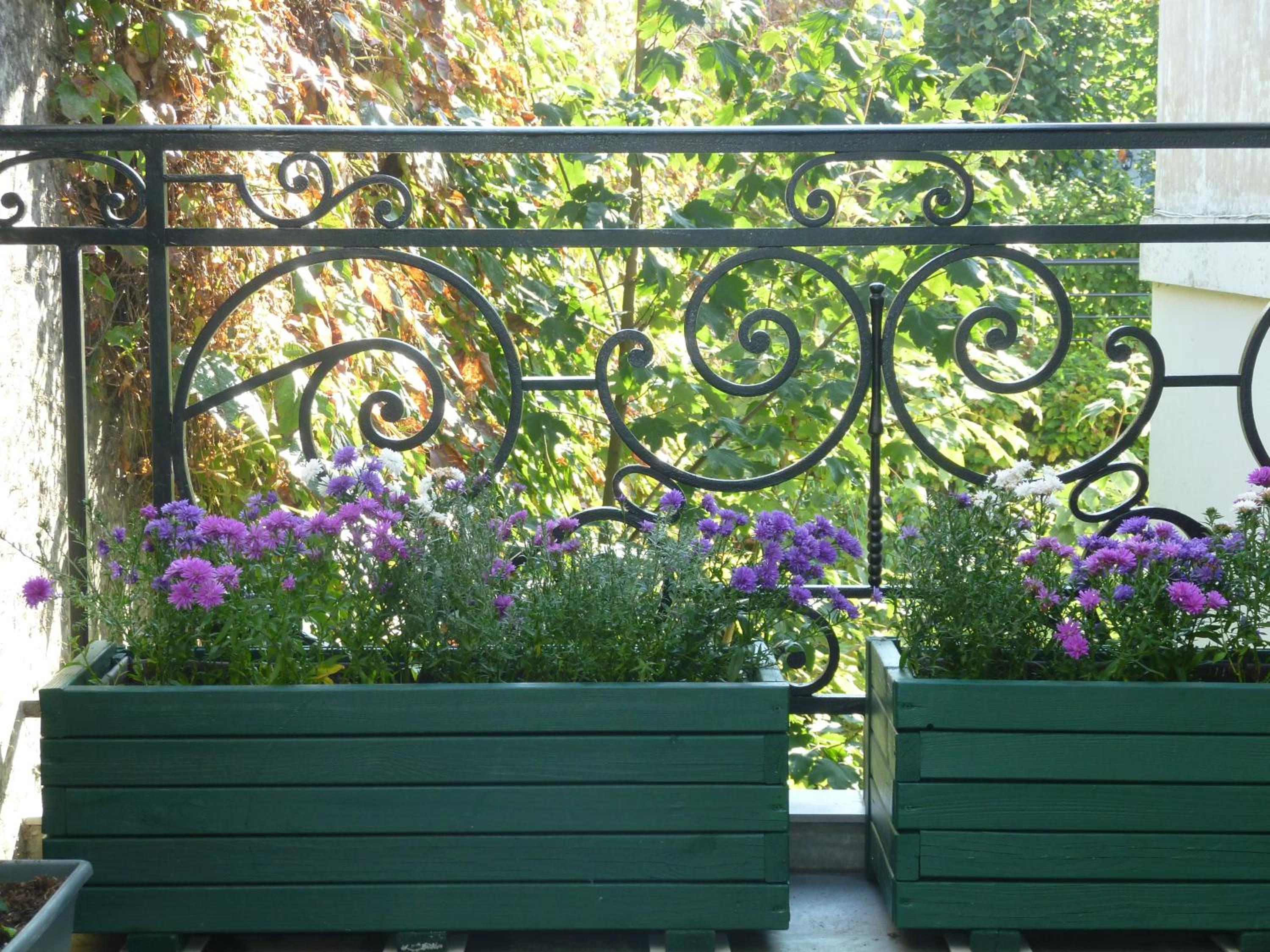 Les Versaillaises B&B