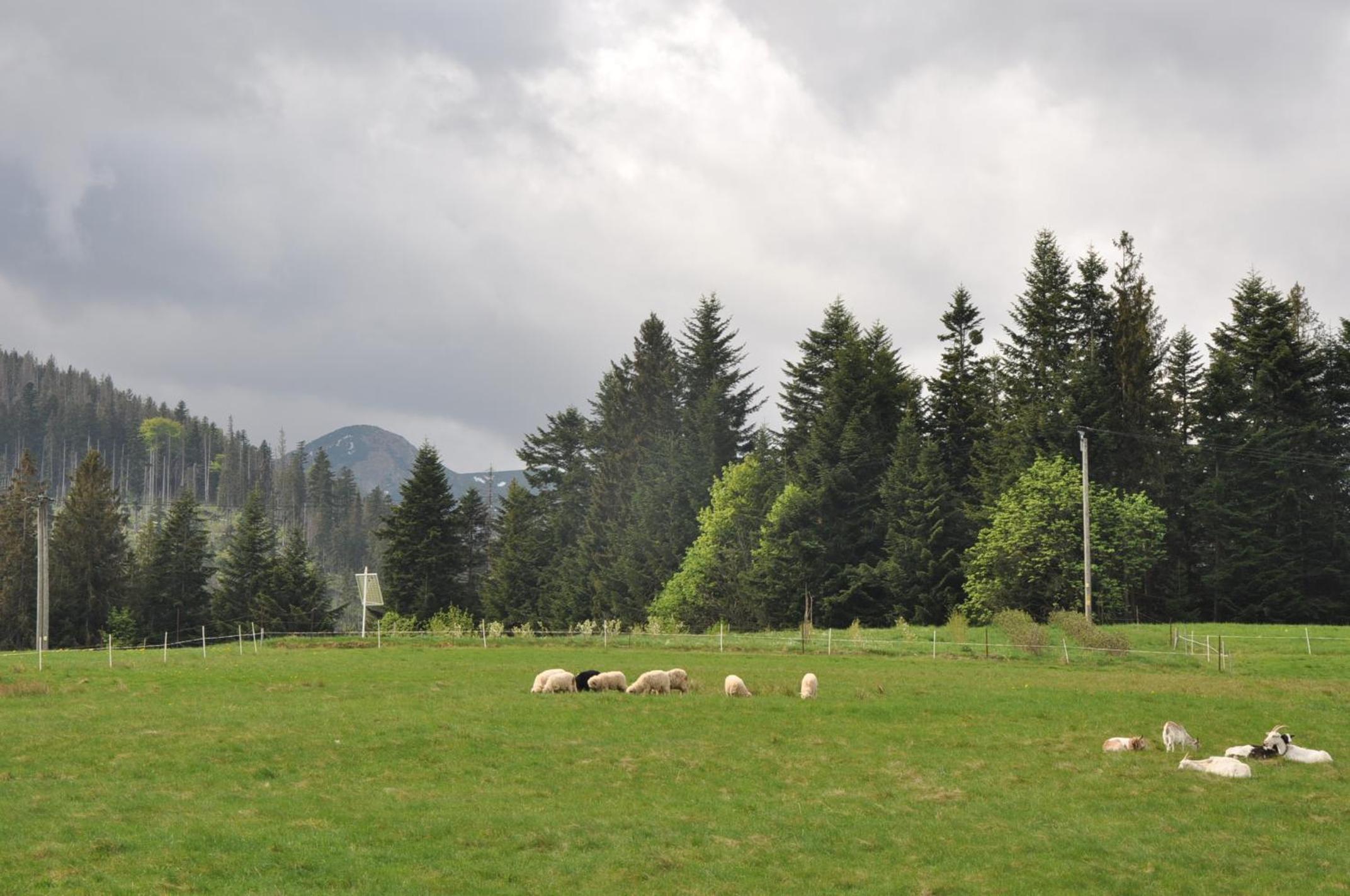 Photo 32