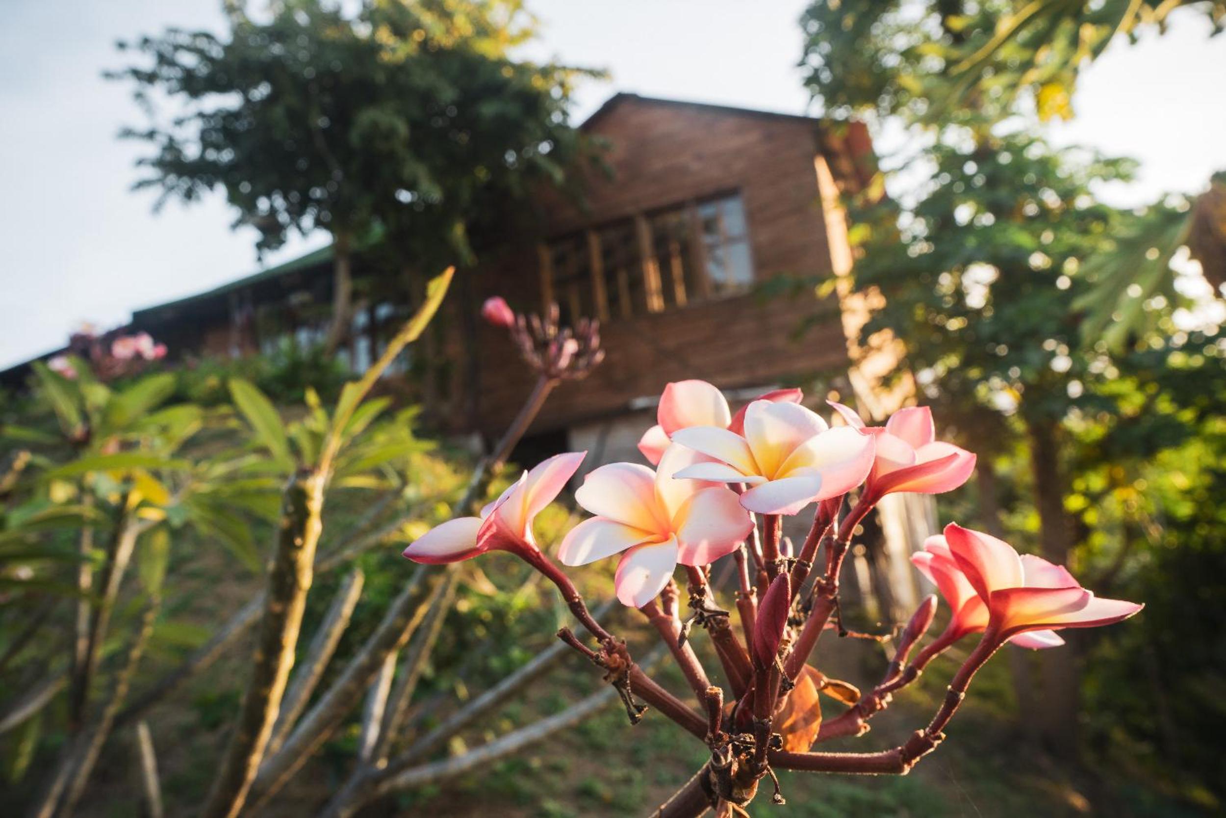 La Casita del Bosque