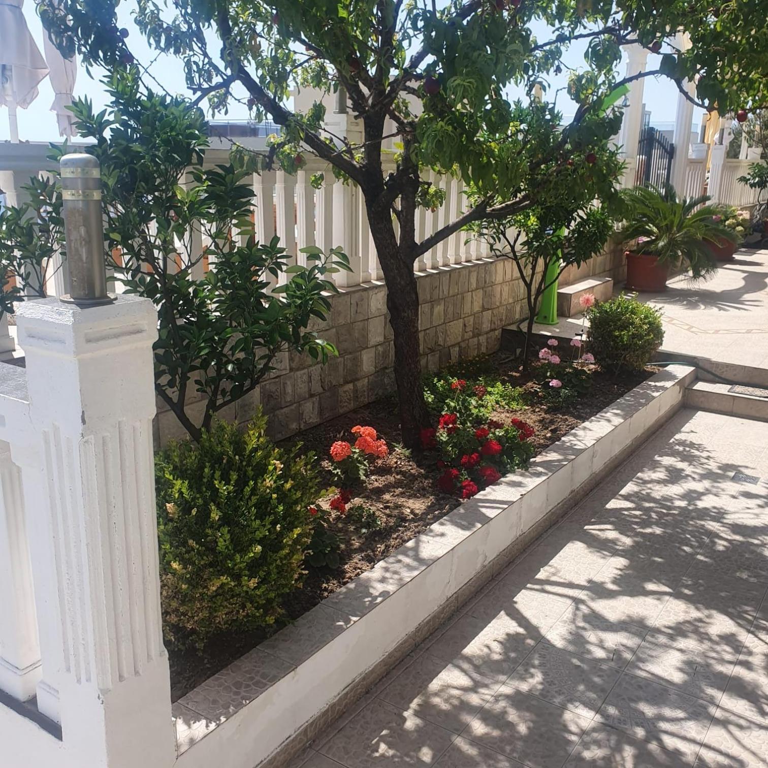 Photo 25