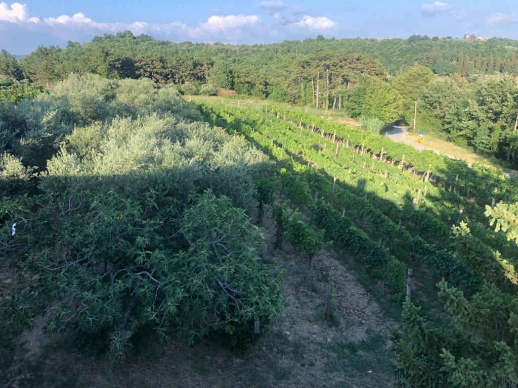 Apartman Villa Romana