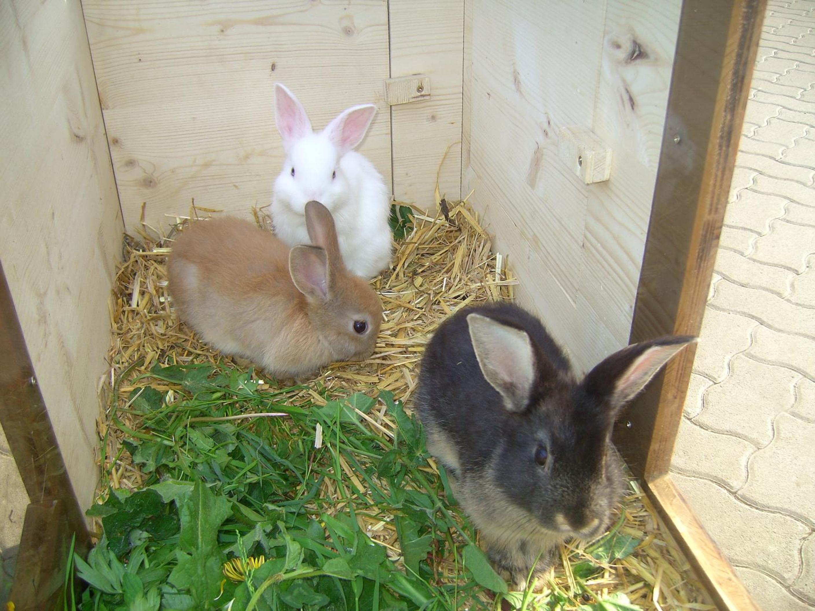 Photo 27