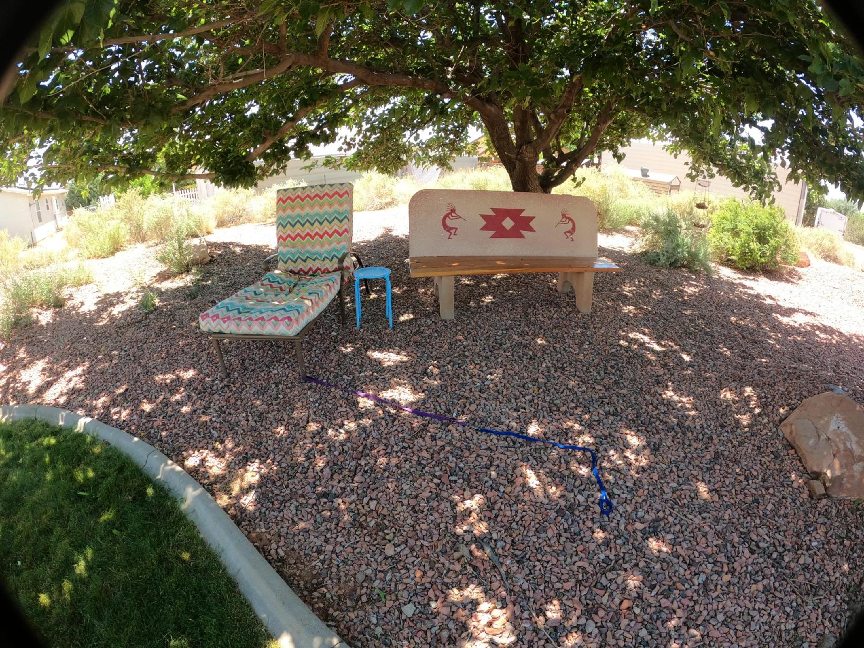 Photo 25