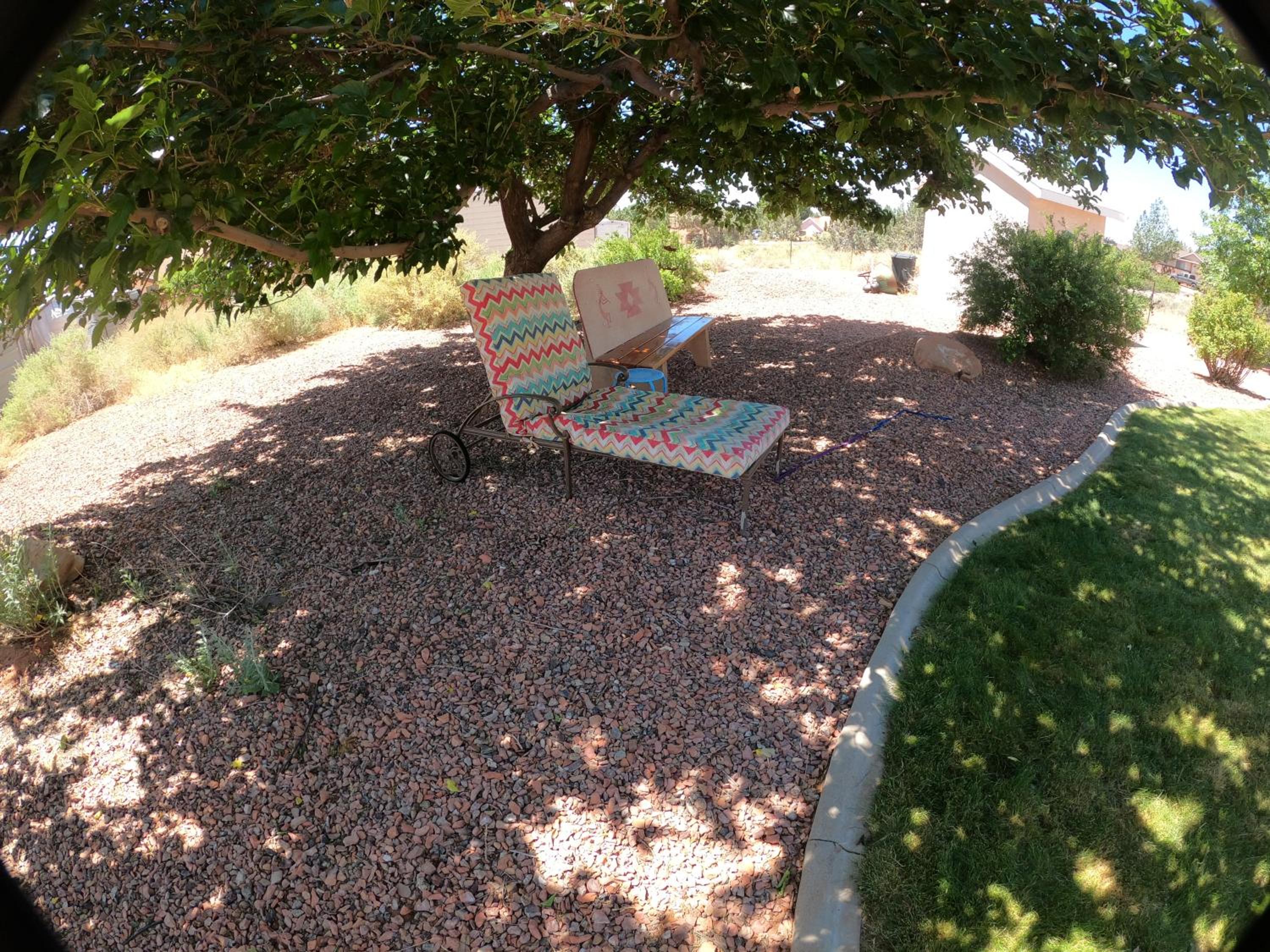 Photo 26