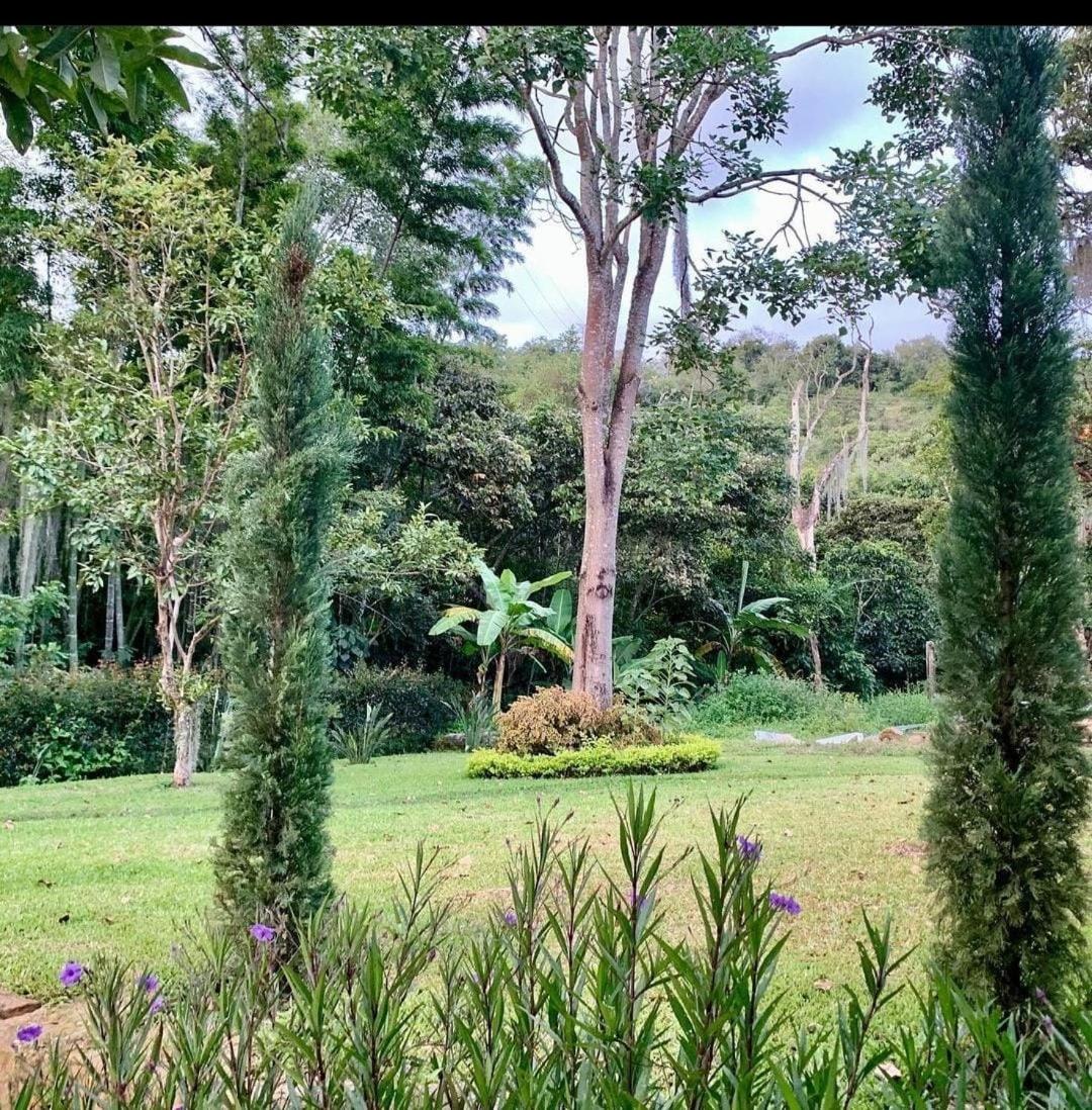 Altagracia