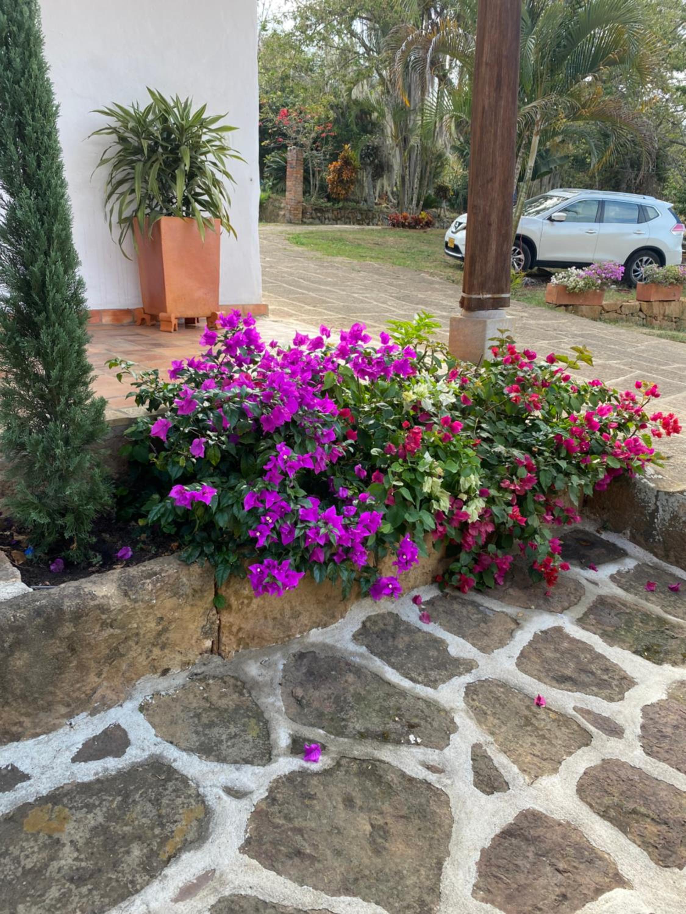 Altagracia