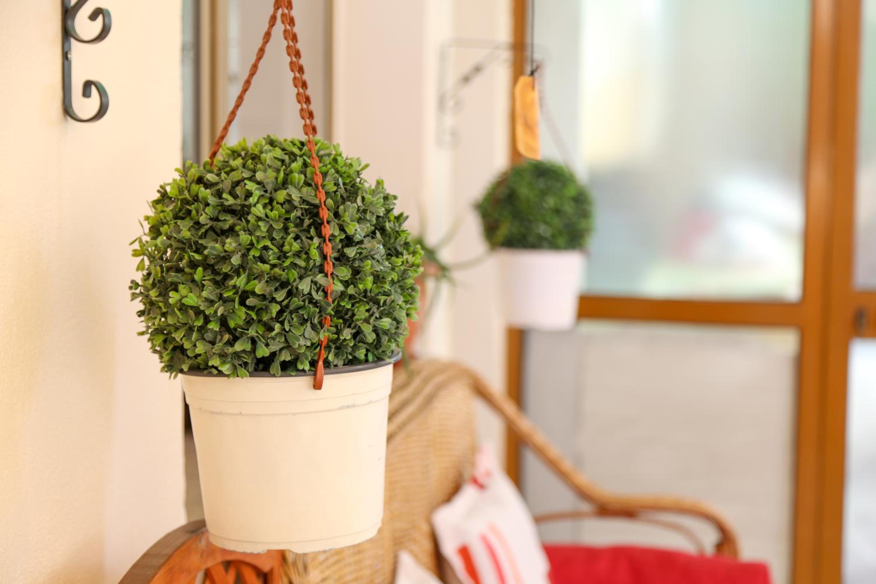 ''Garden of Happiness'' Apartment