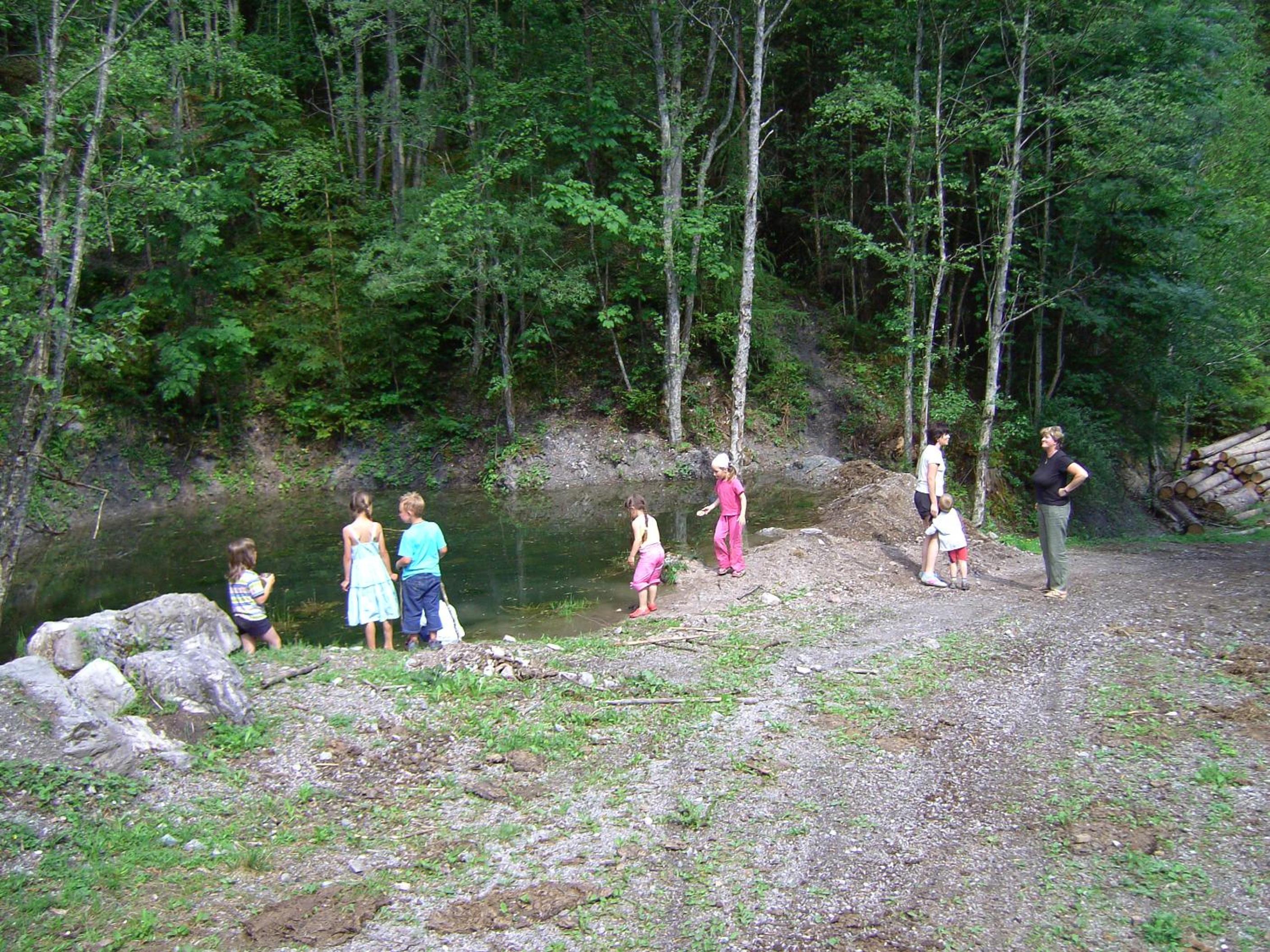 Photo 25