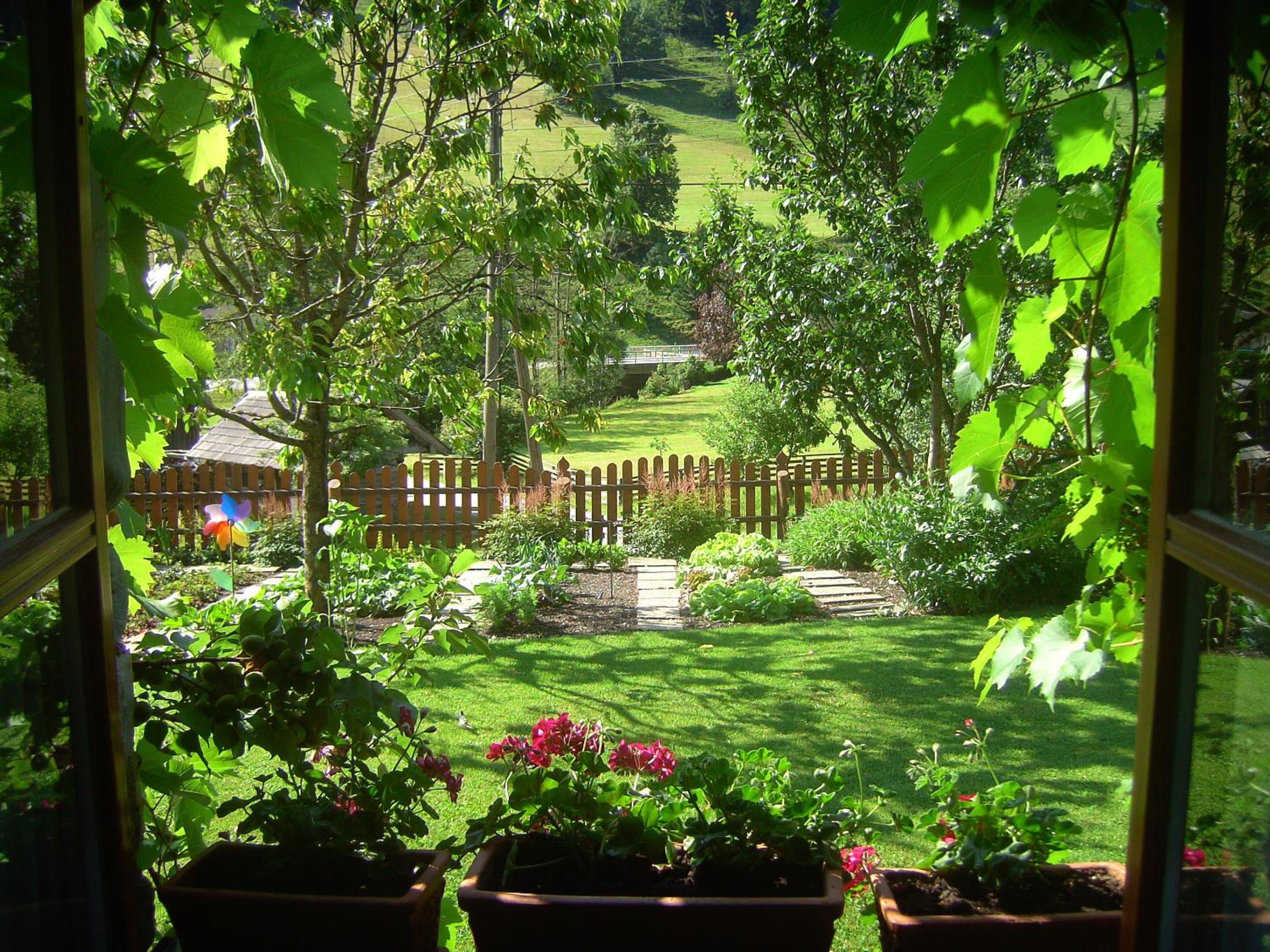 Photo 7