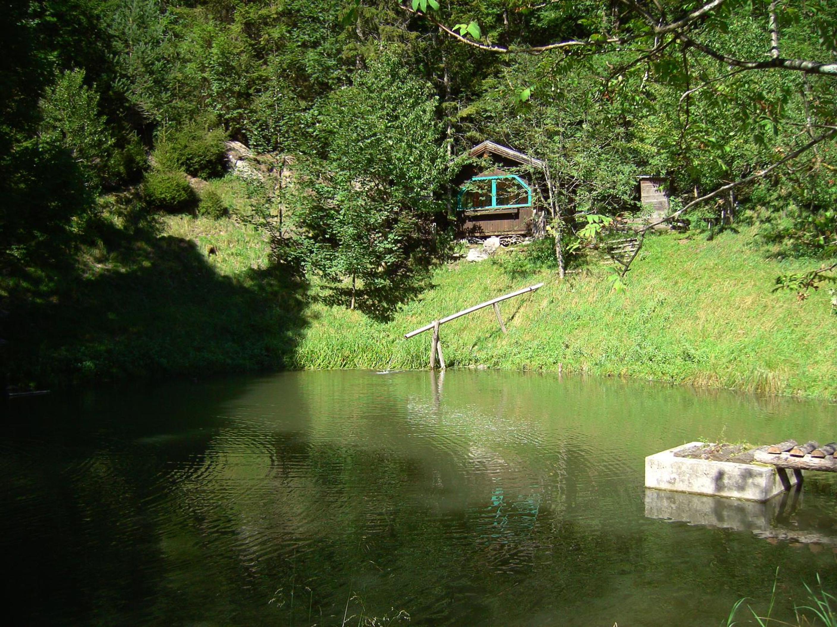 Photo 21
