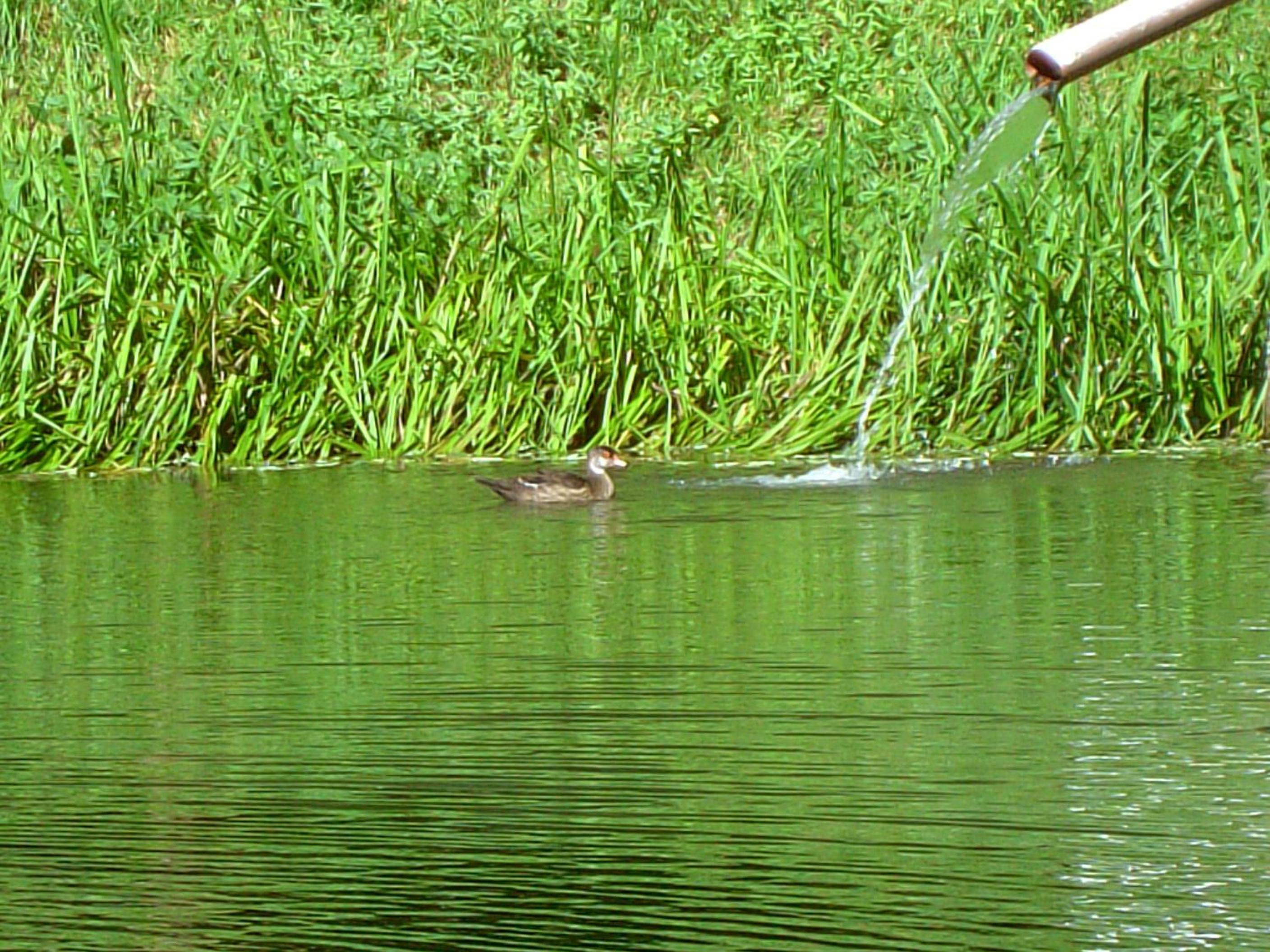 Photo 24