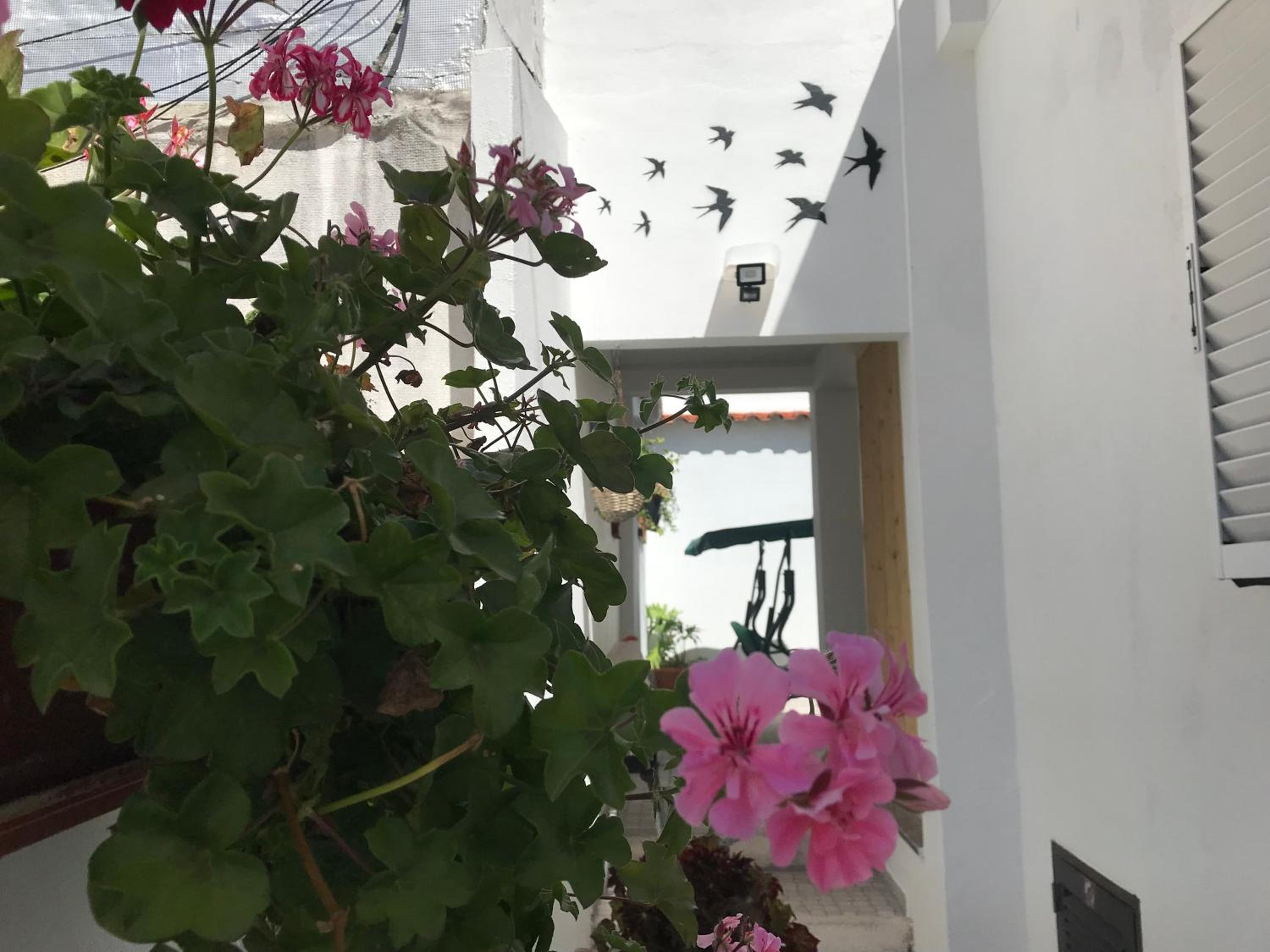 Casa dos Capinha