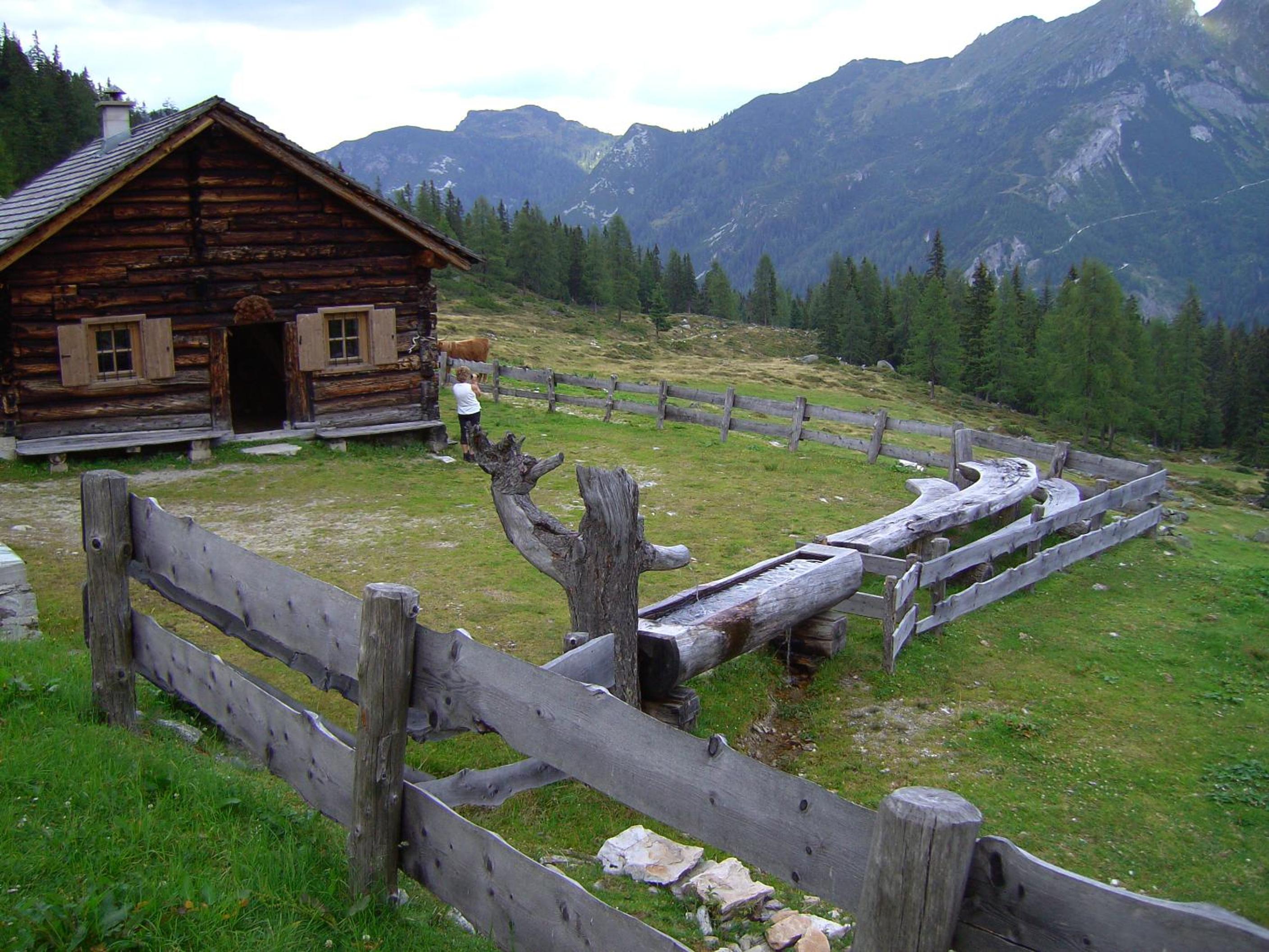 Photo 32
