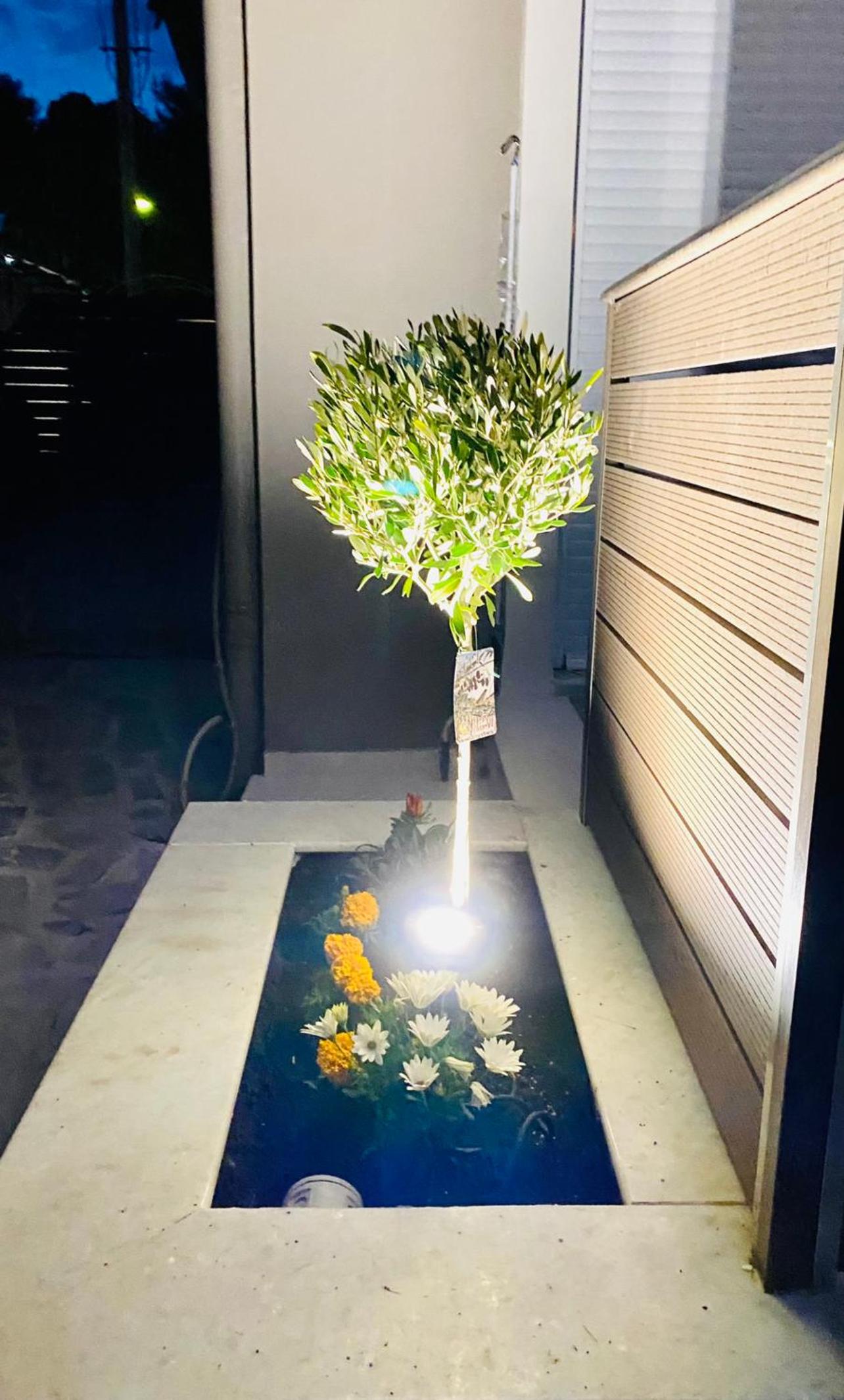 Phoenix Garden Apartments I