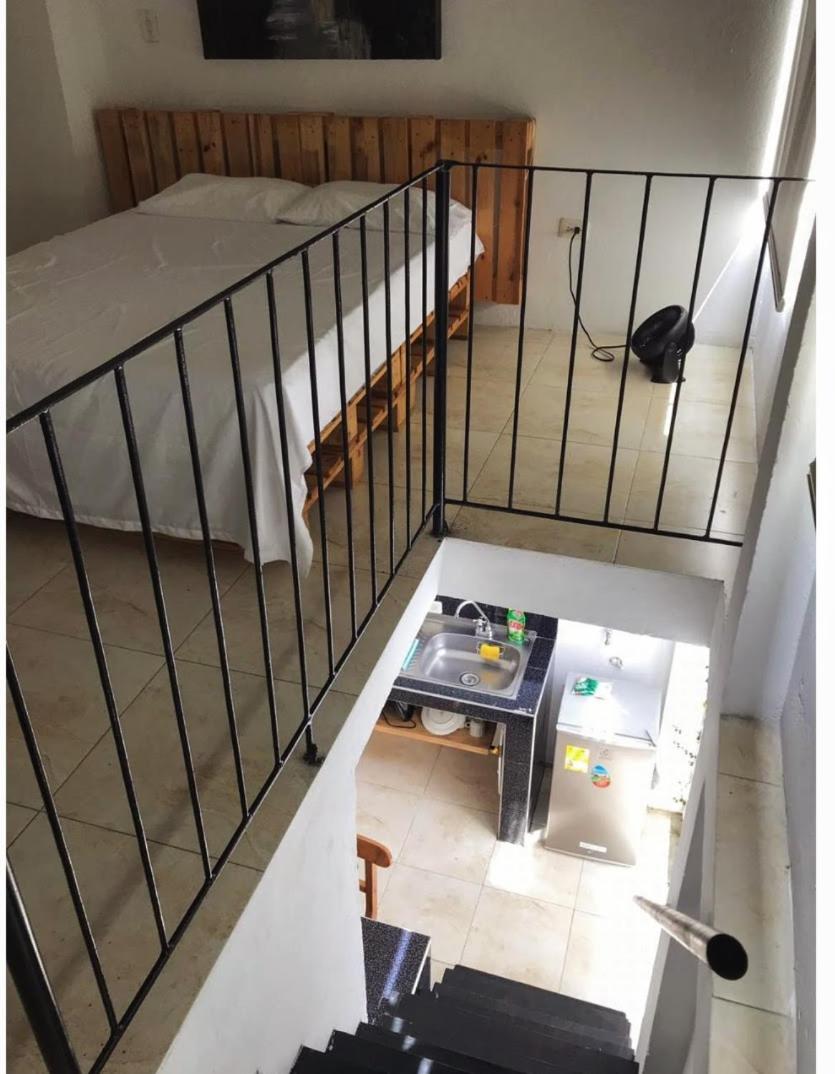 Parrot House San Antonio