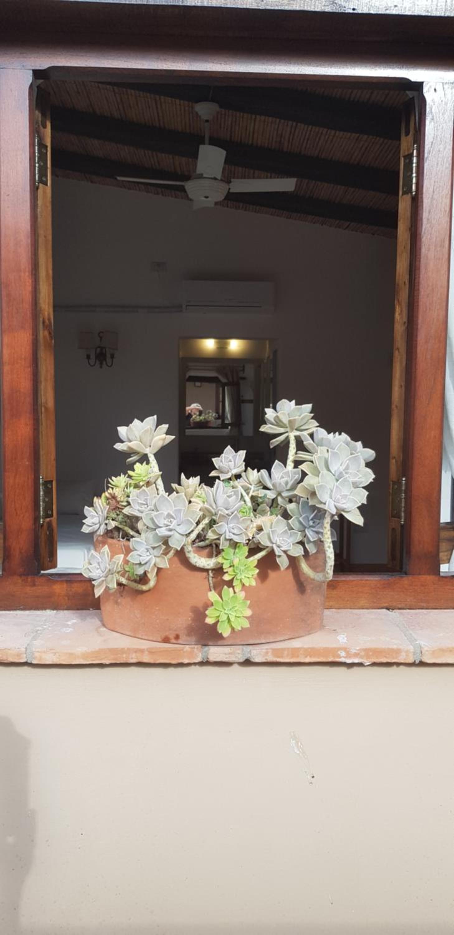 Terraza del Molle