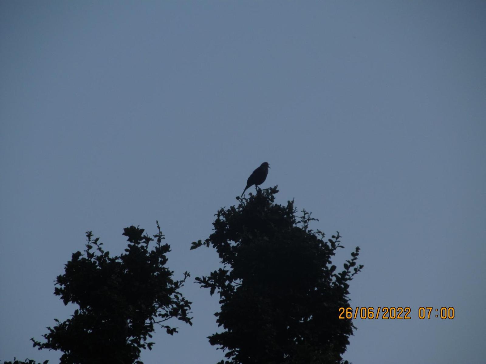 Photo 32