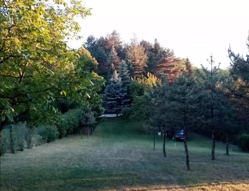 Photo 47