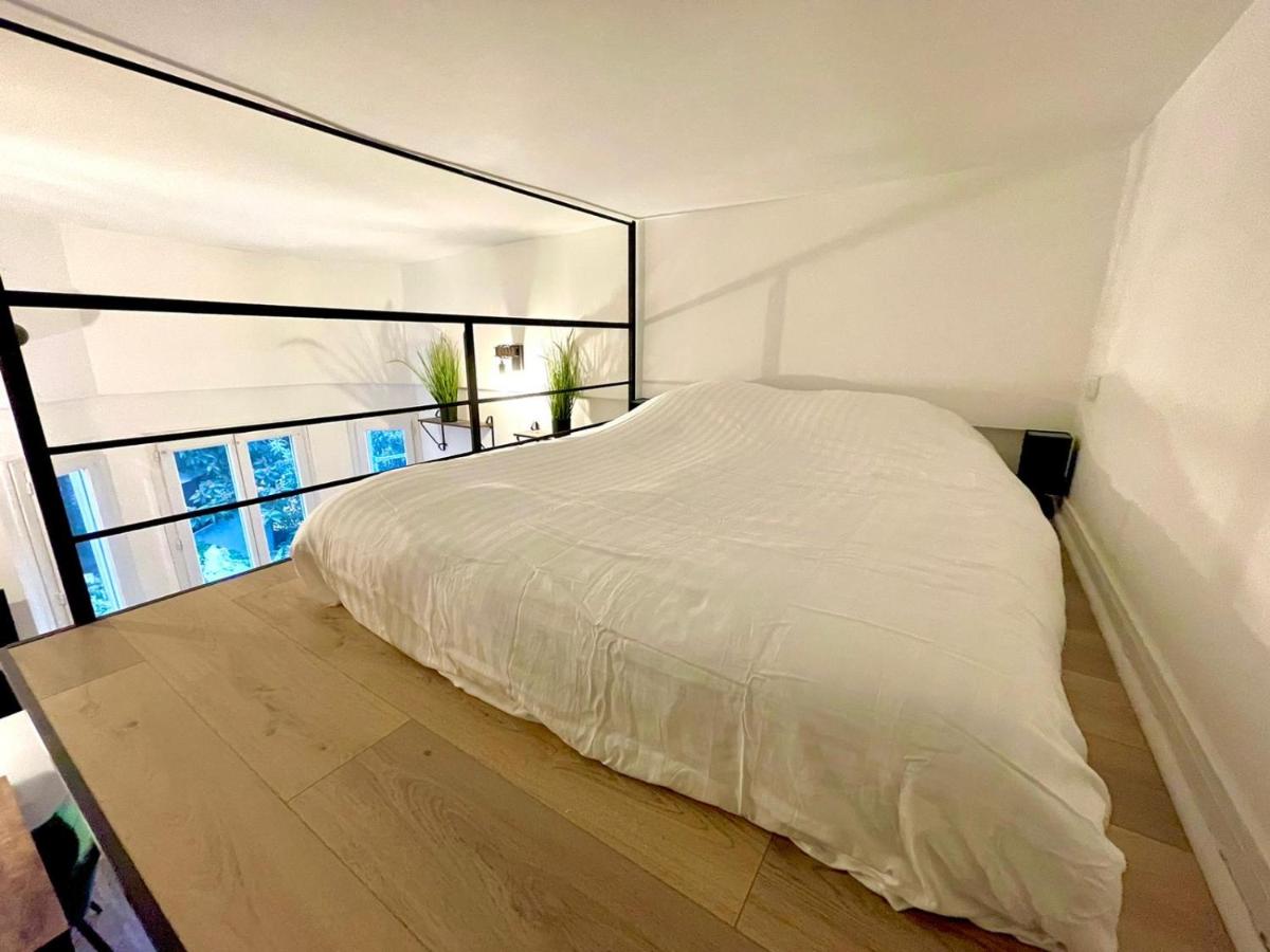 Cocooning & Modern Duplex City Center Carabacel photo 4