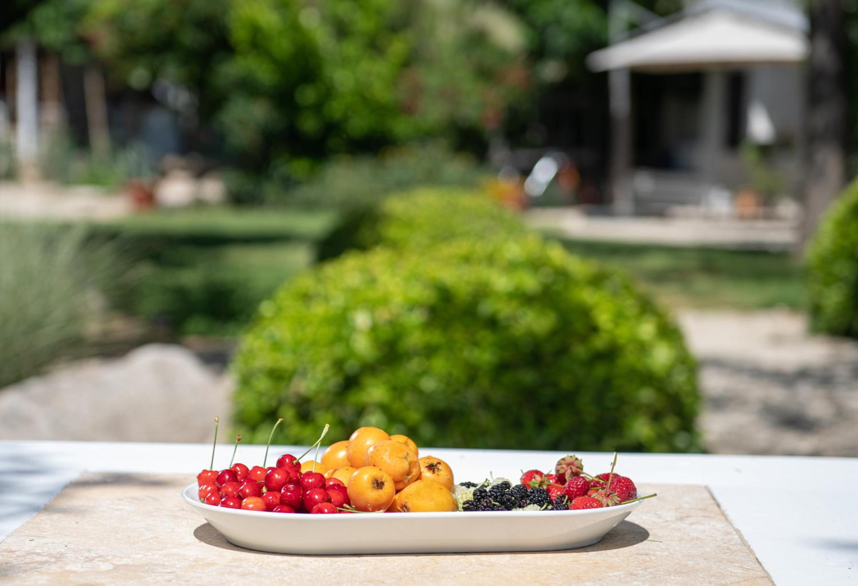 Ammouda Villas