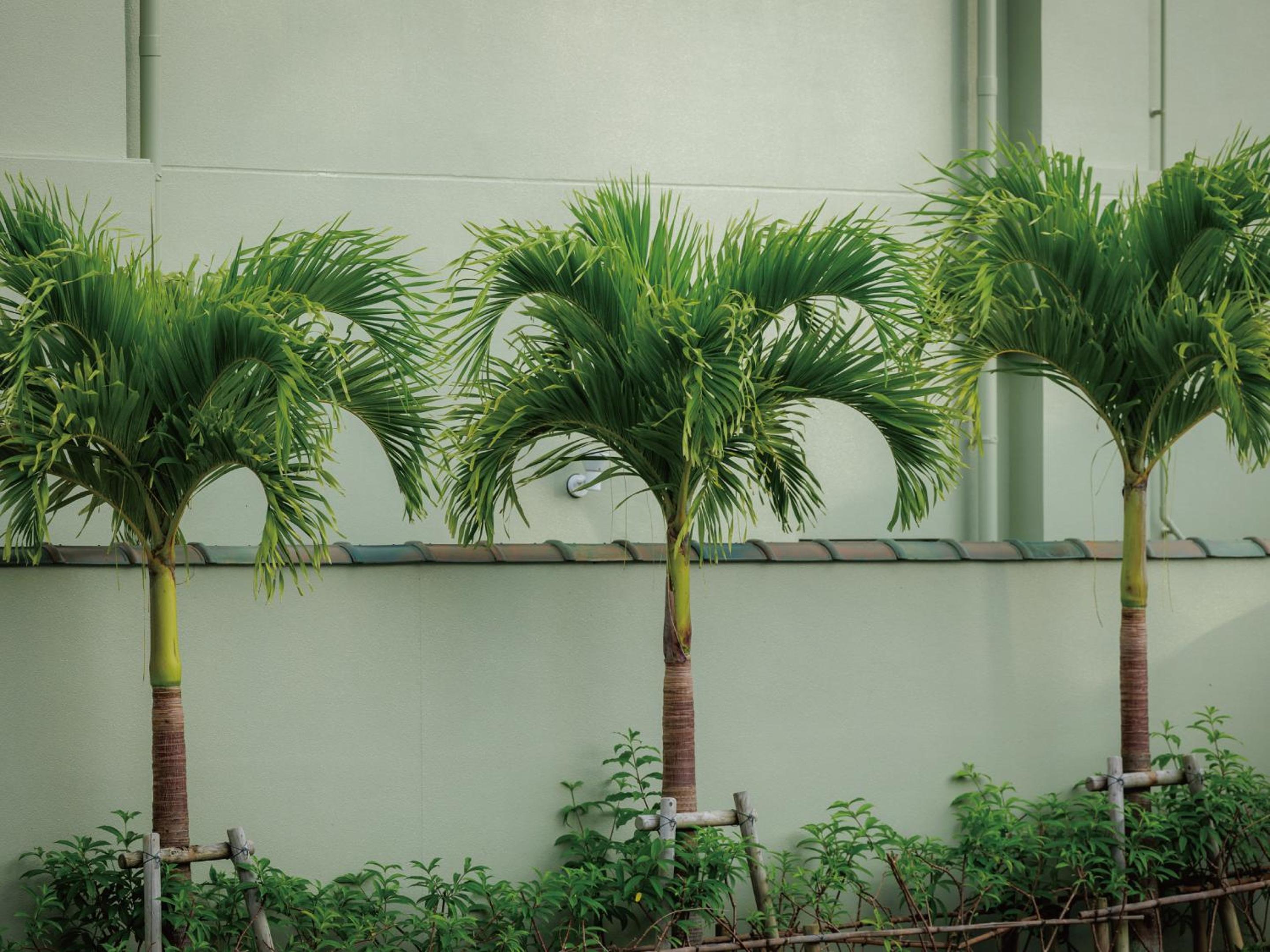 Homm Stay Yumiha Okinawa By Banyan Group, Onna - 16