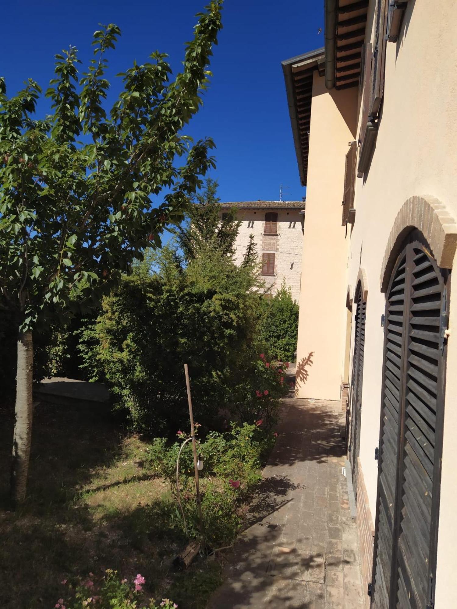il passero