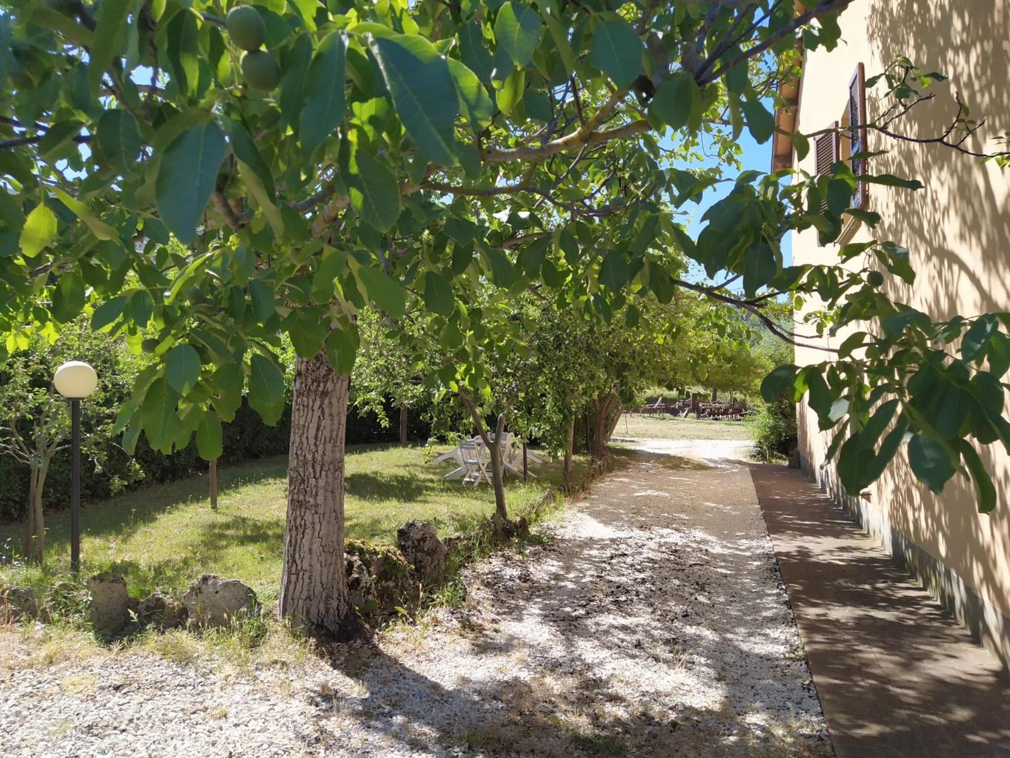 il passero