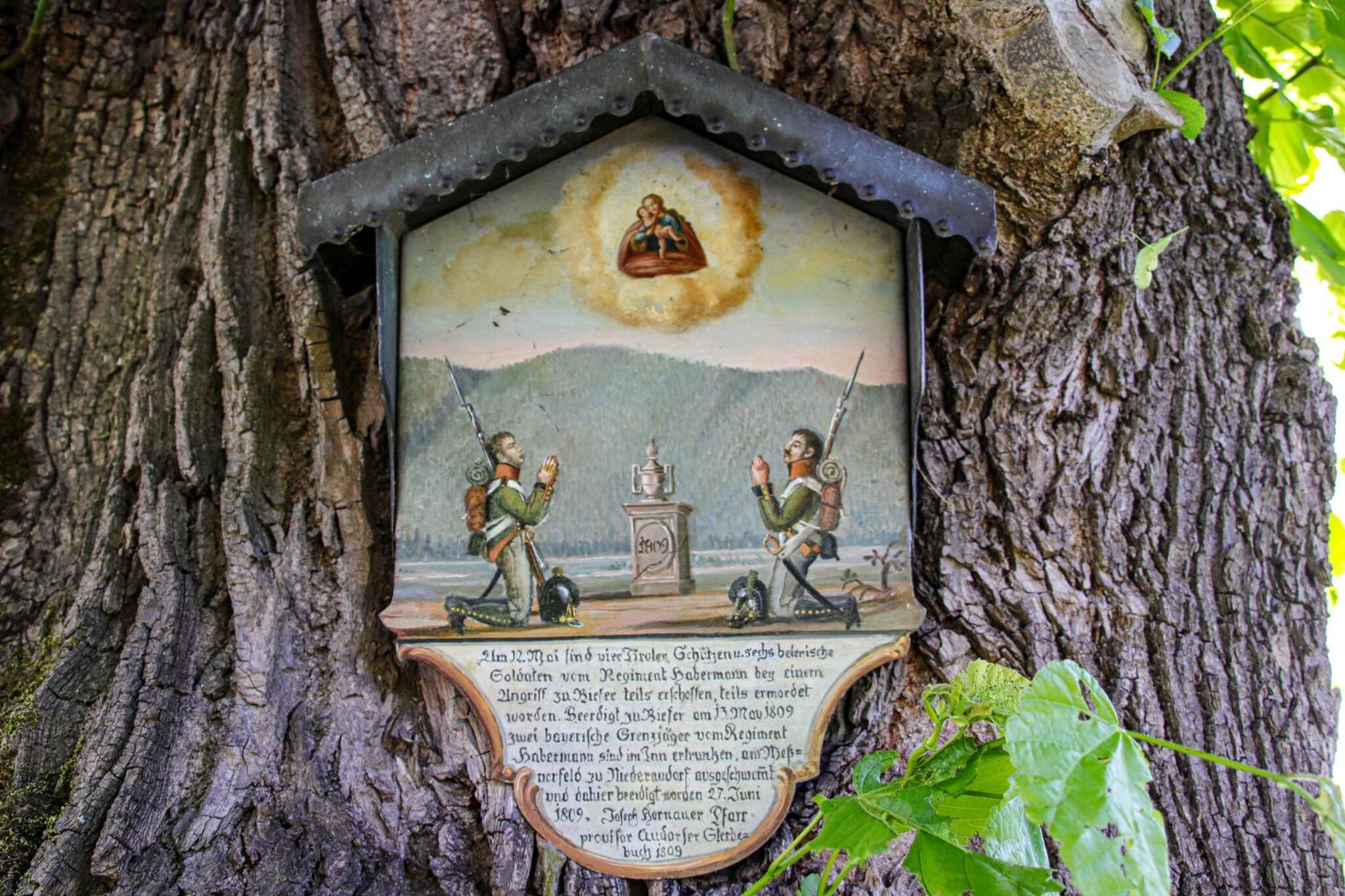 Photo 24