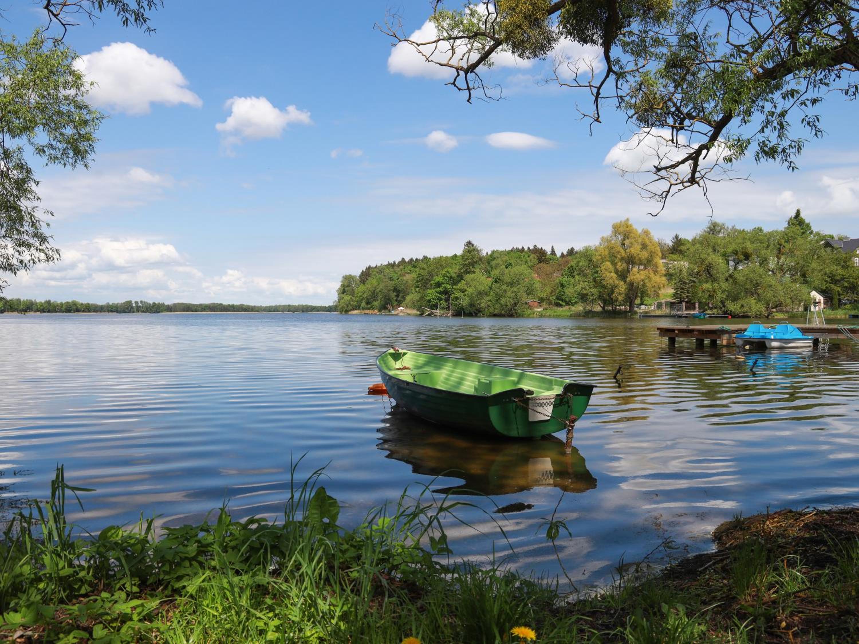 Go Mazury, photo 7