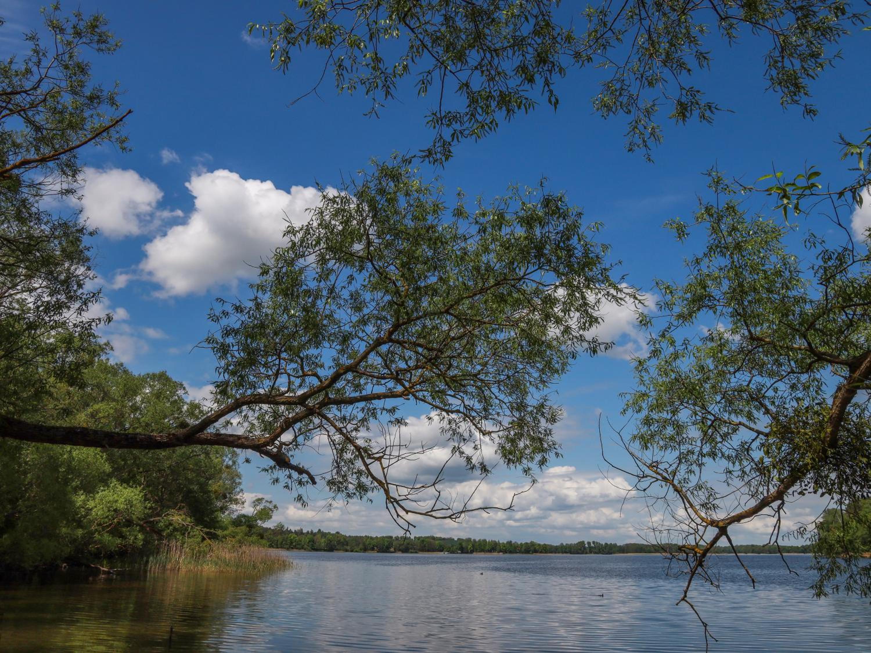 Go Mazury, photo 50