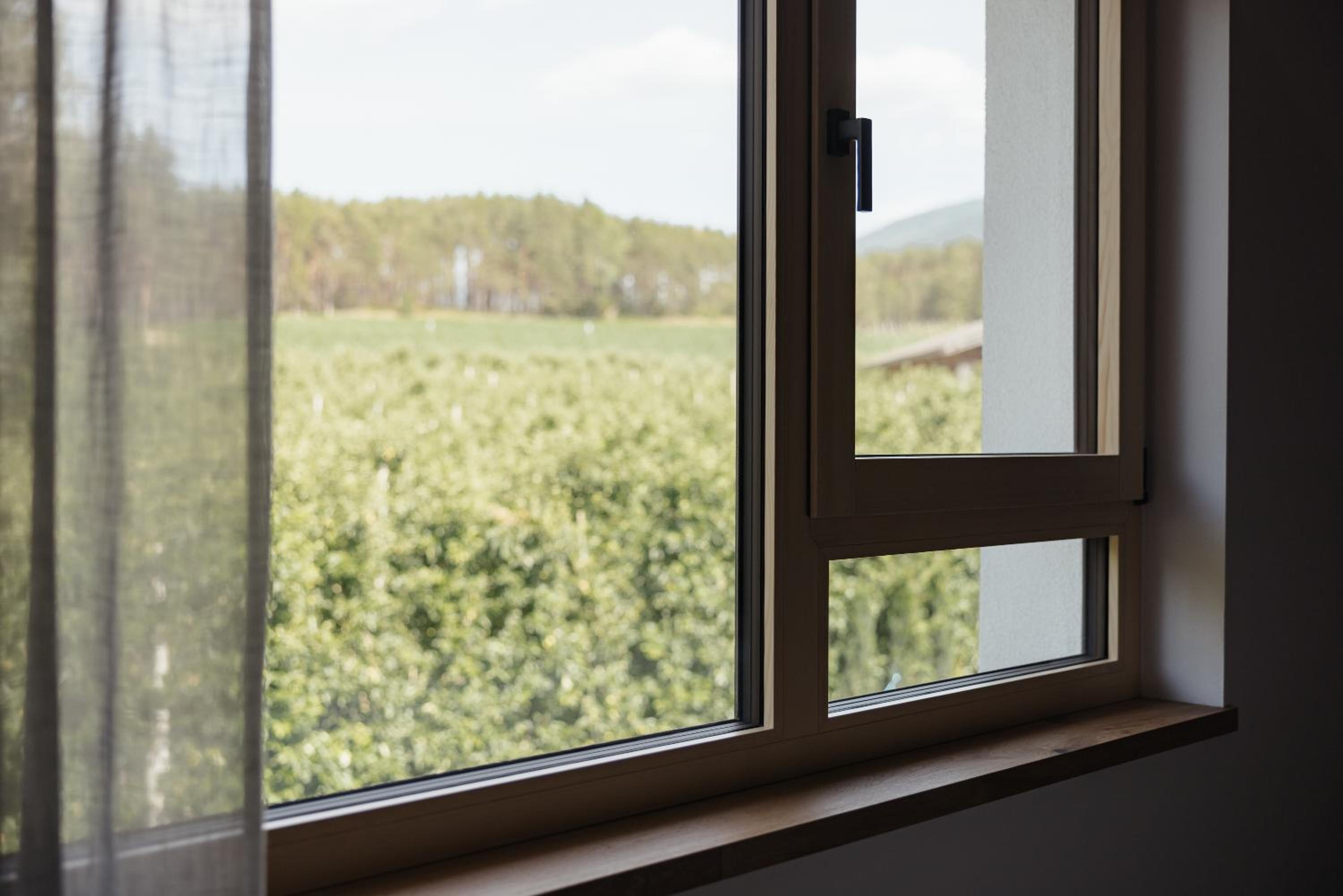 Plattnerhof Viums