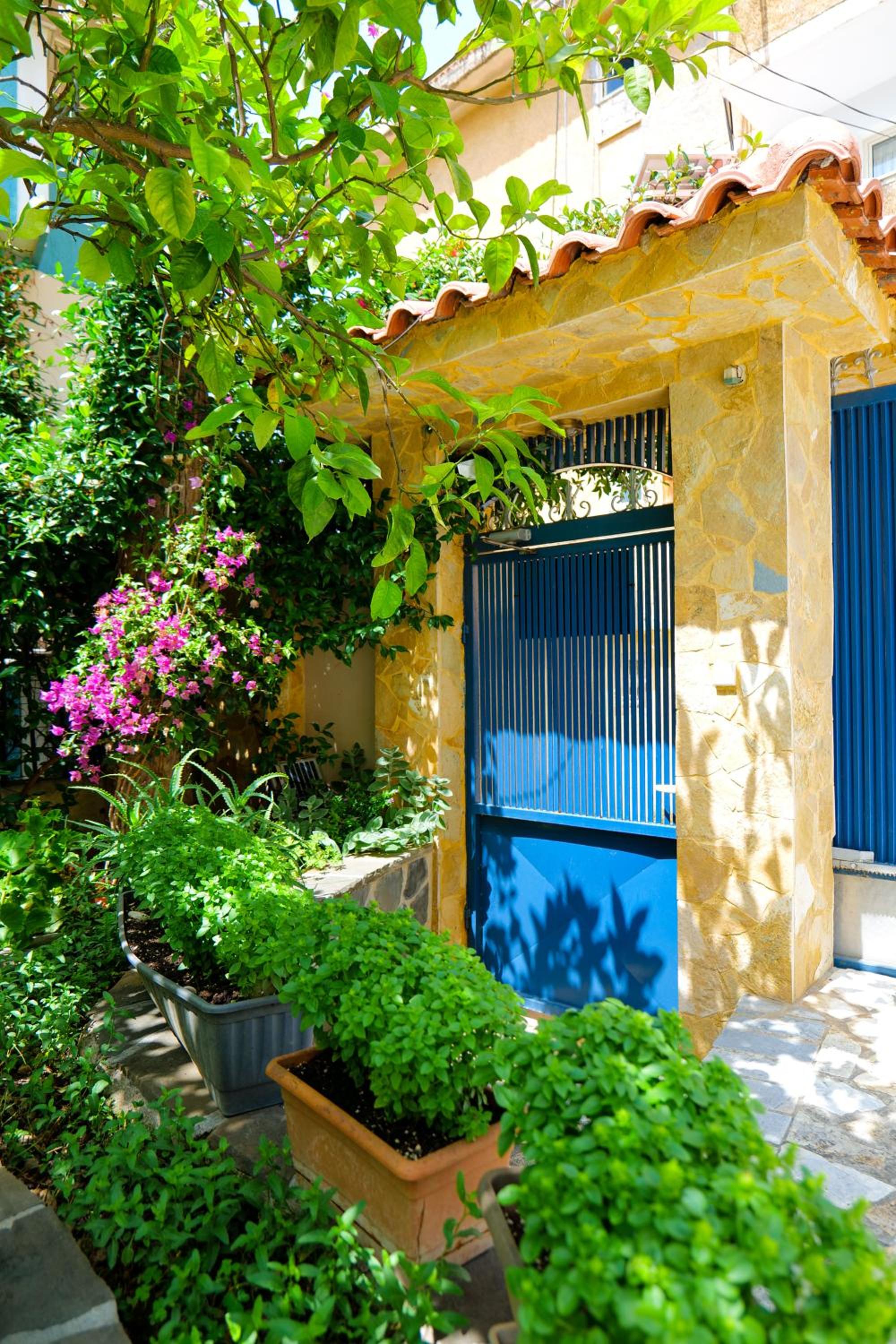 Elidon Apartments