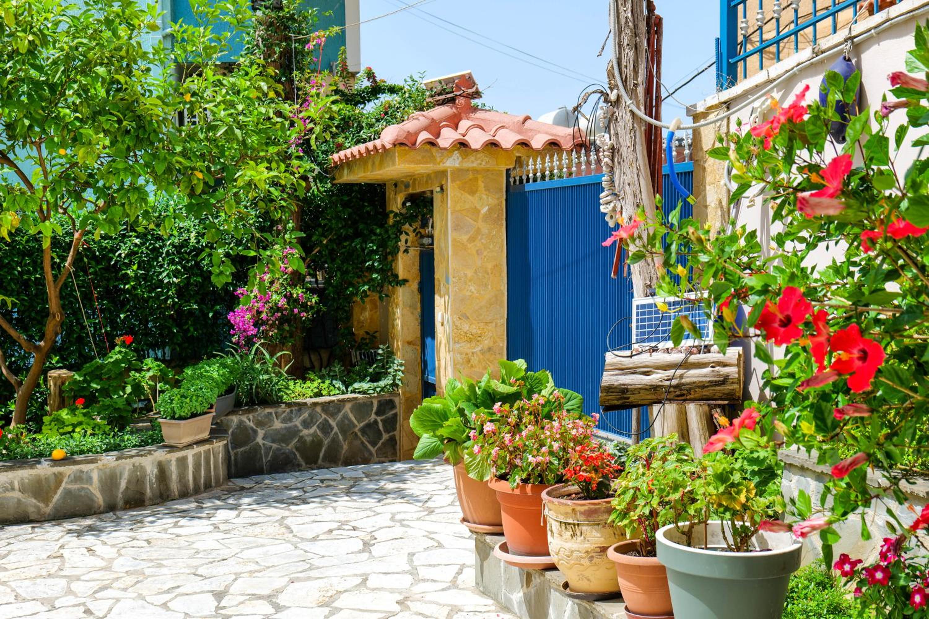 Elidon Apartments