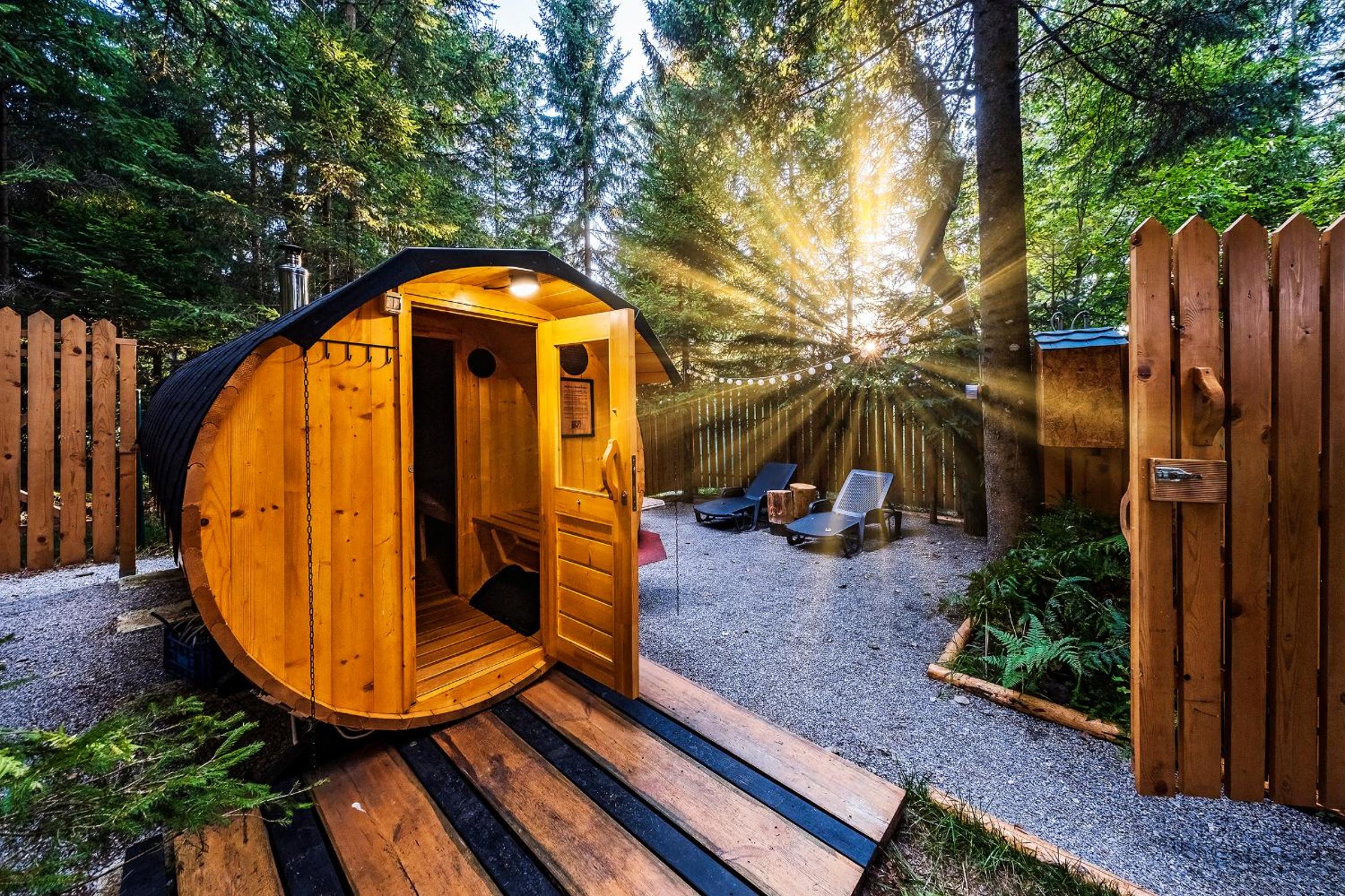 Glamping FOREST EDGE view 2