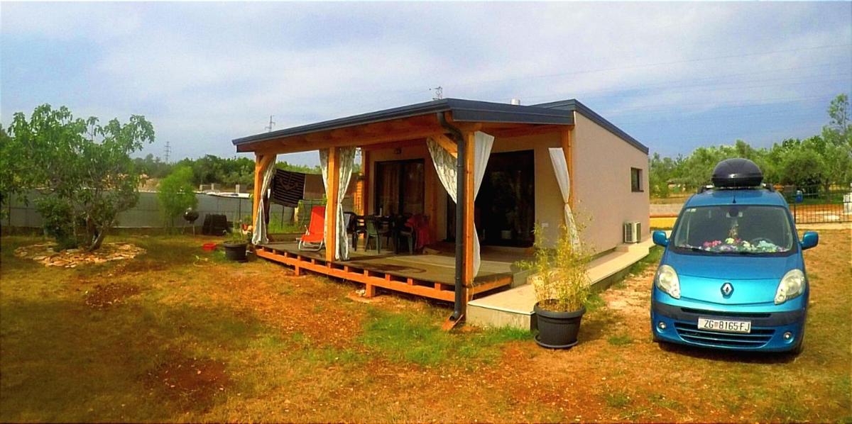 Nature Home Eco-friendly Pet-friendly view 4