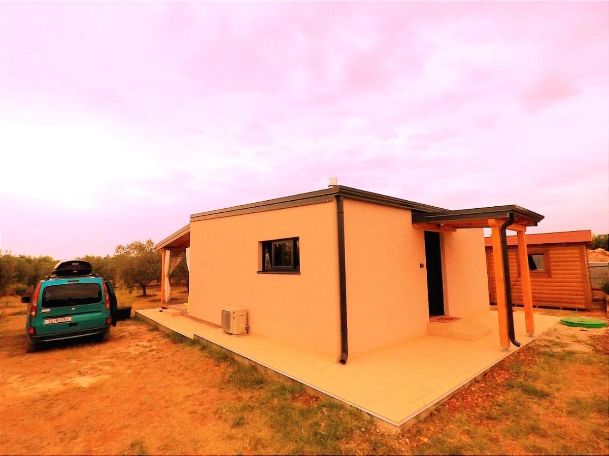 Nature Home Eco-friendly Pet-friendly view 5