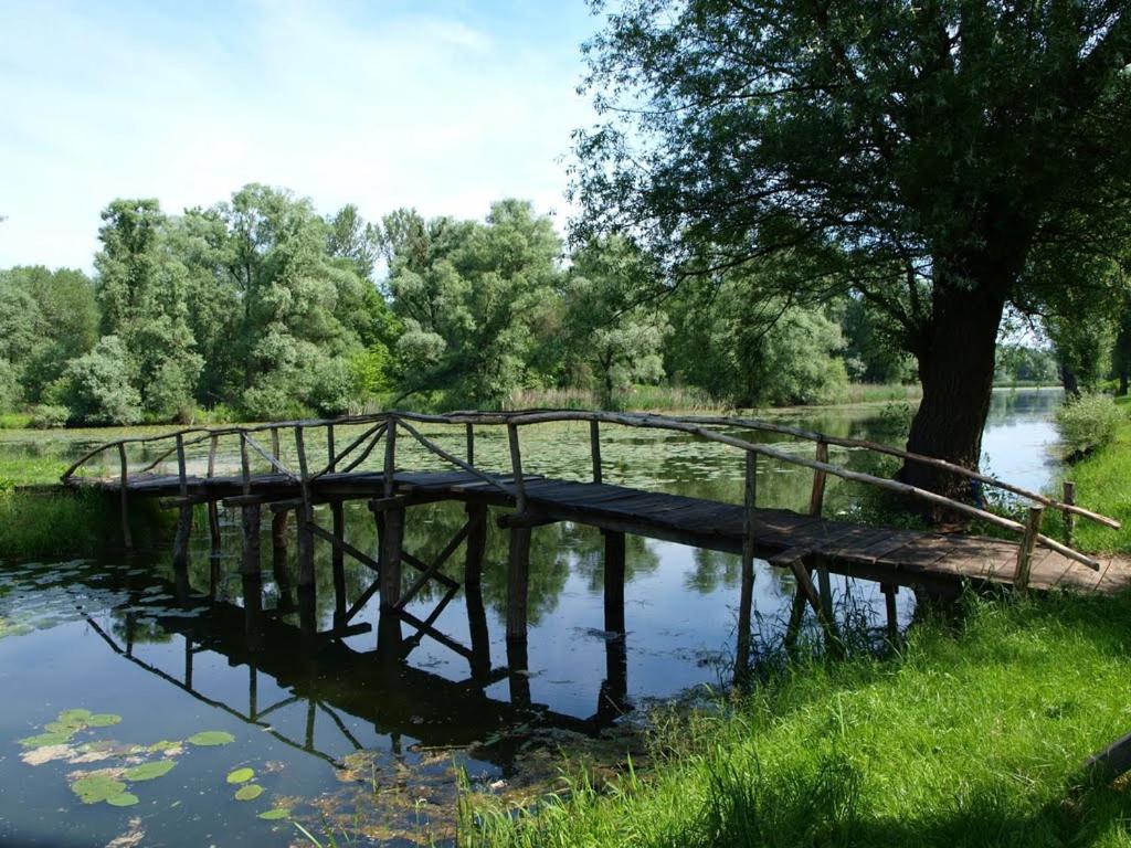 Photo 27