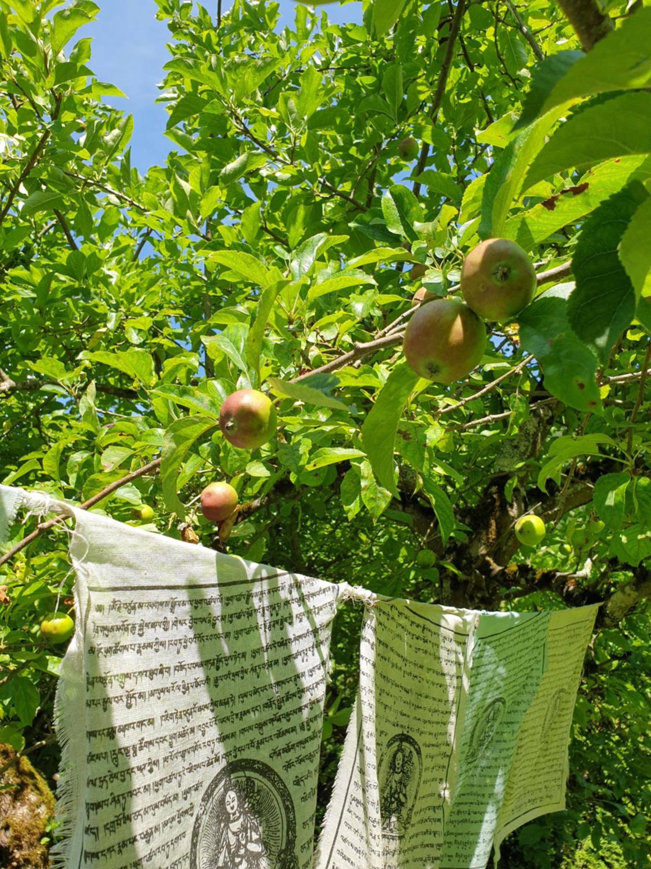 Agréable chambre d'hôtes, au calme, dans la nature