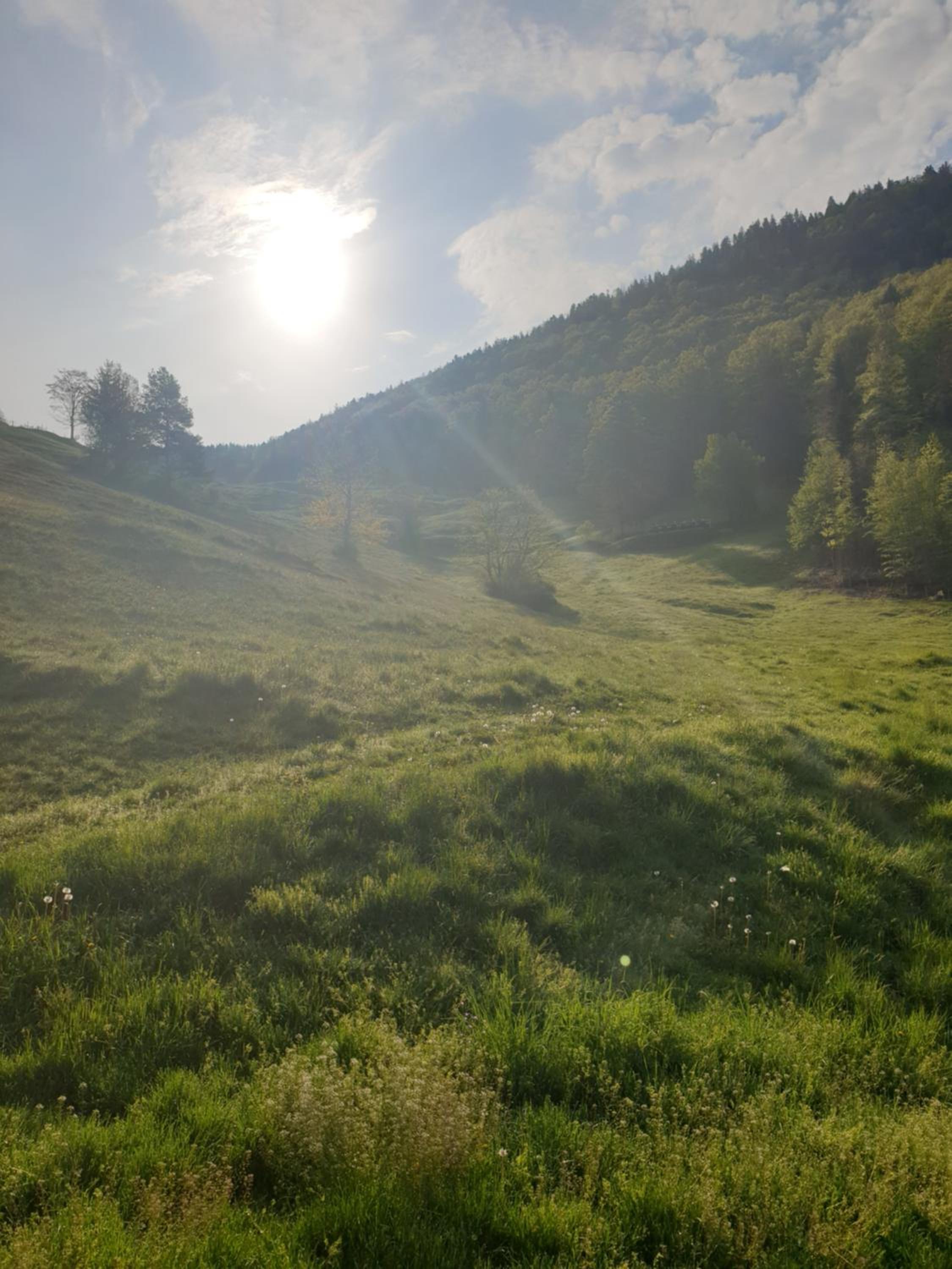 Agréable chambre d'hôtes, au calme, dans la nature