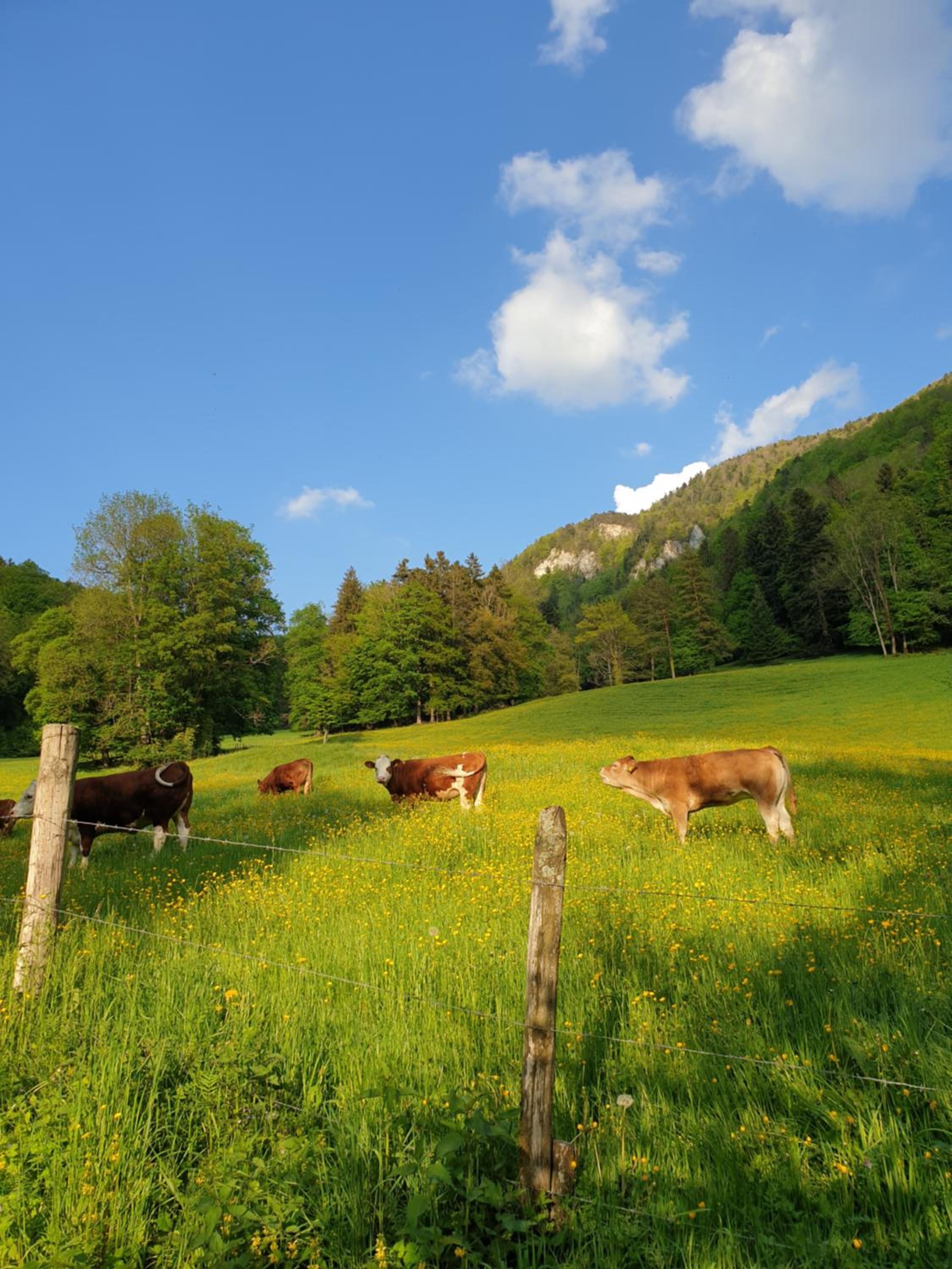 Agréable chambre d'hôtes, au calme, dans la nature