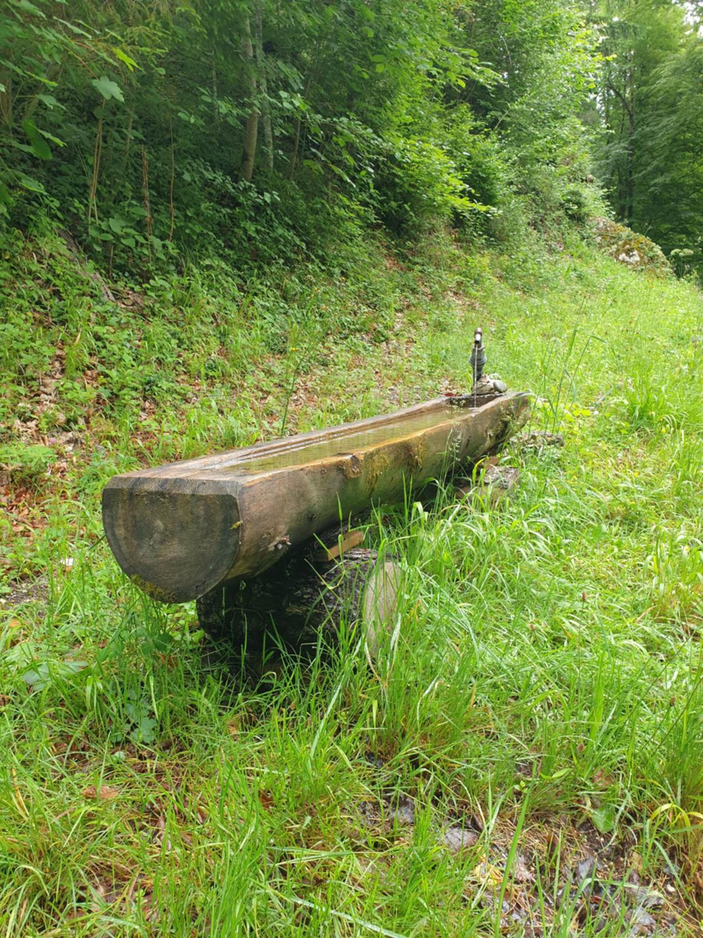 Agréable chambre d'hôtes, au calme, dans la nature