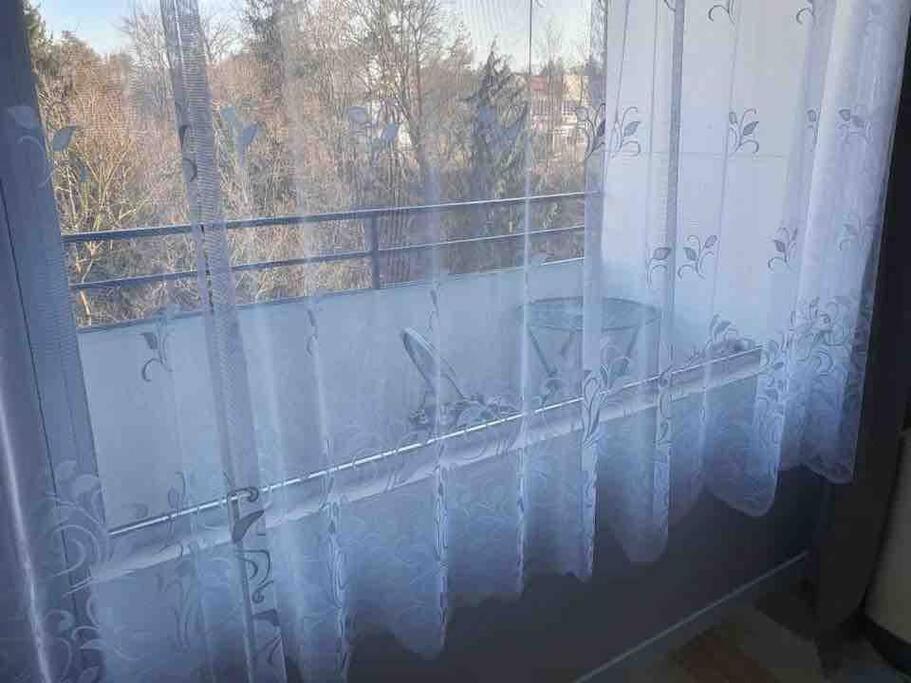 Apartment 55 I Cental Hof I WiFi I TV
