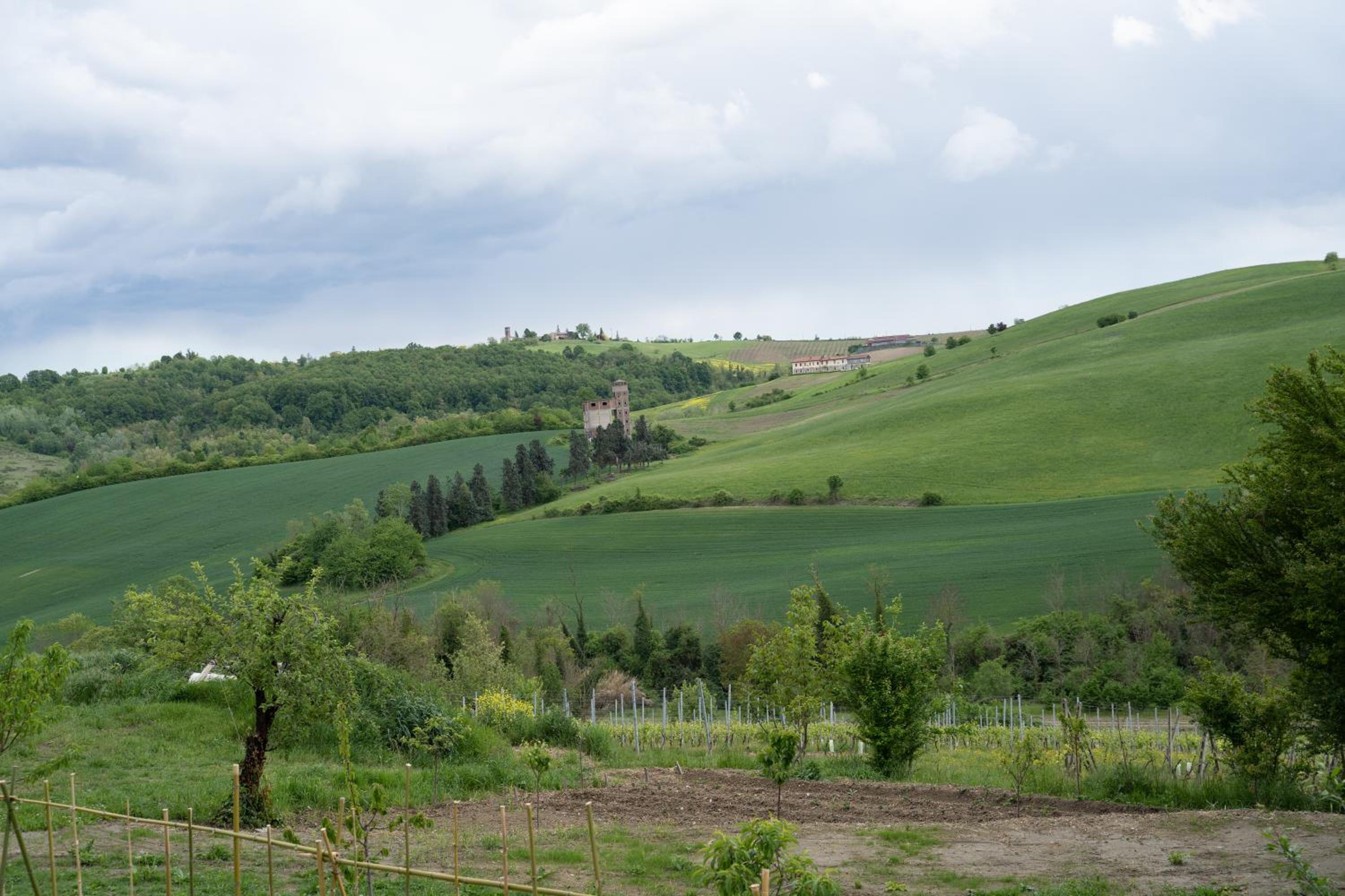 Cascina Pelizza